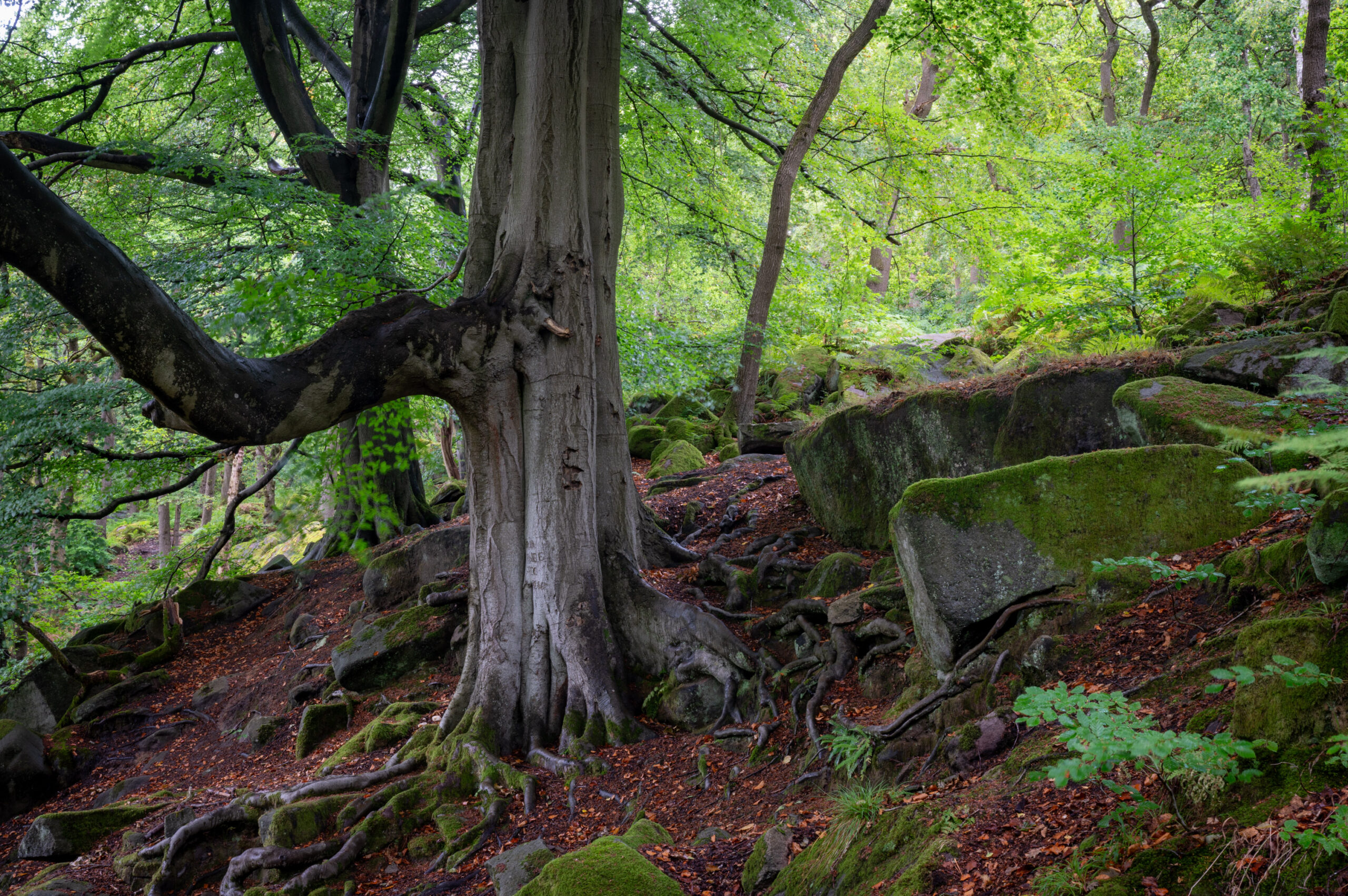 Peak District