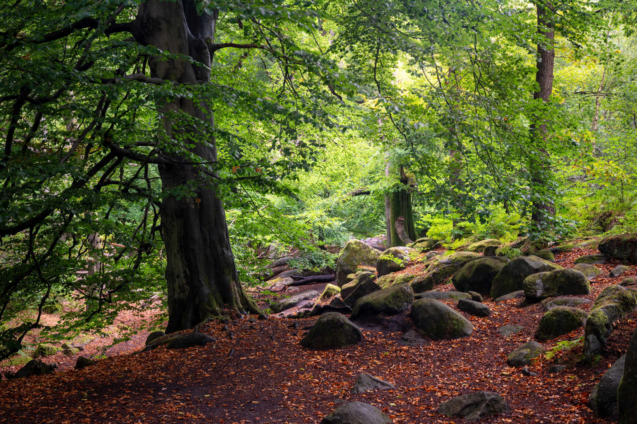 Peak District
