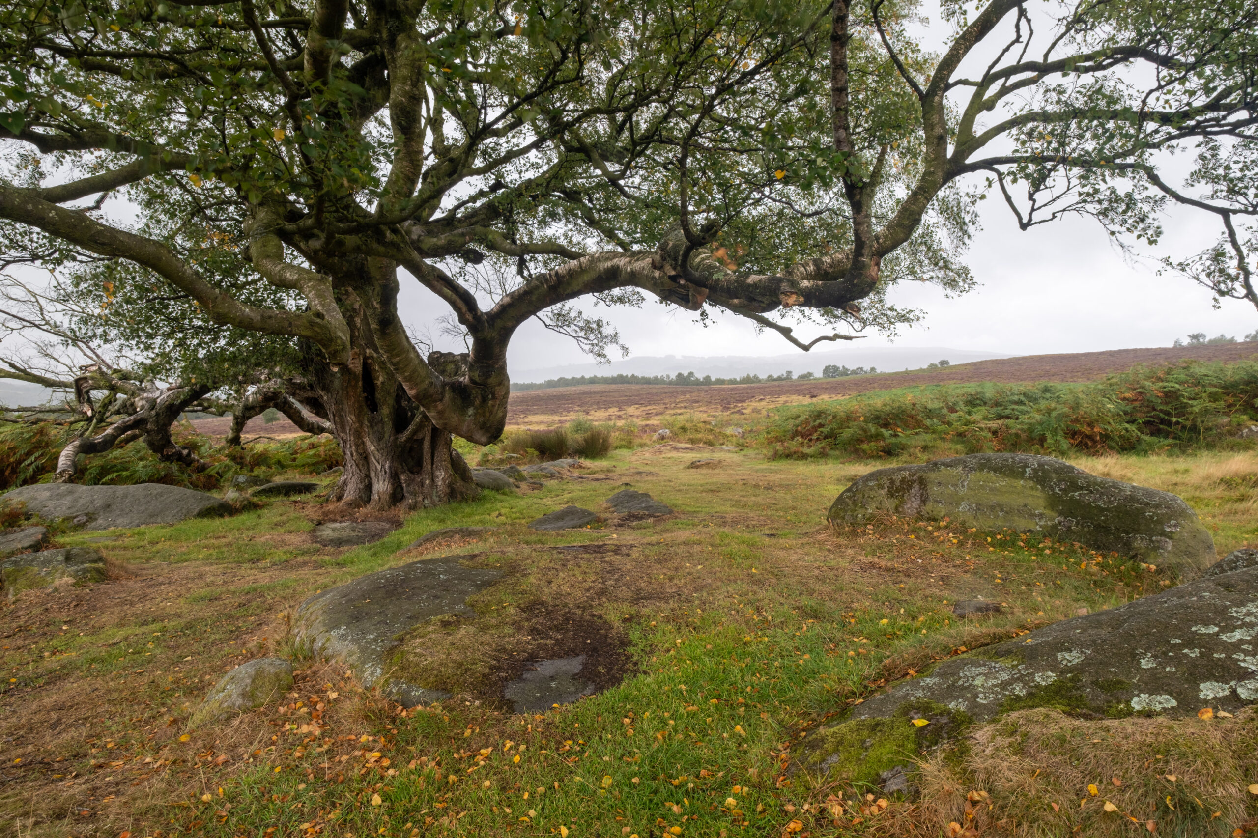 Peak District