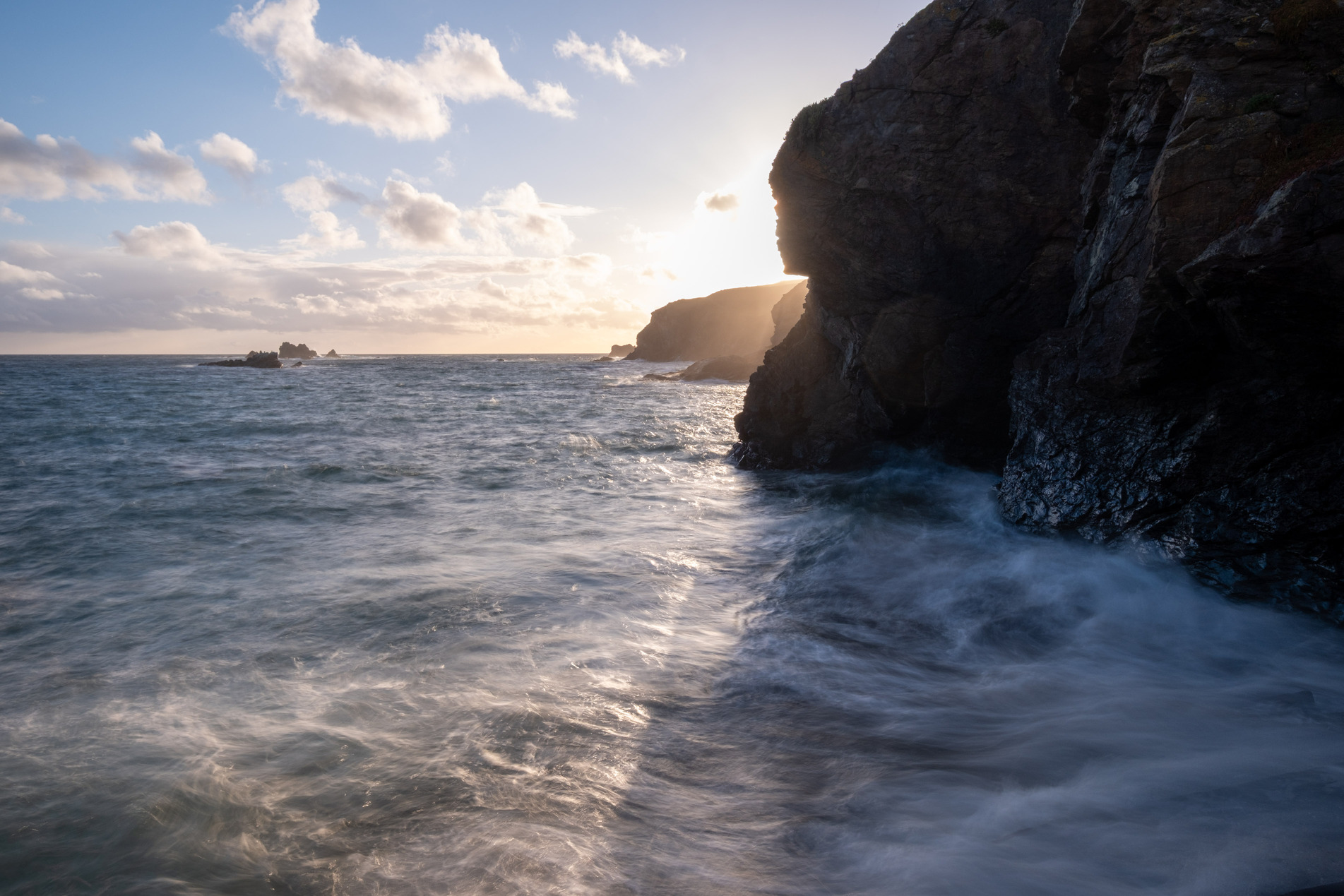 Lizard Point