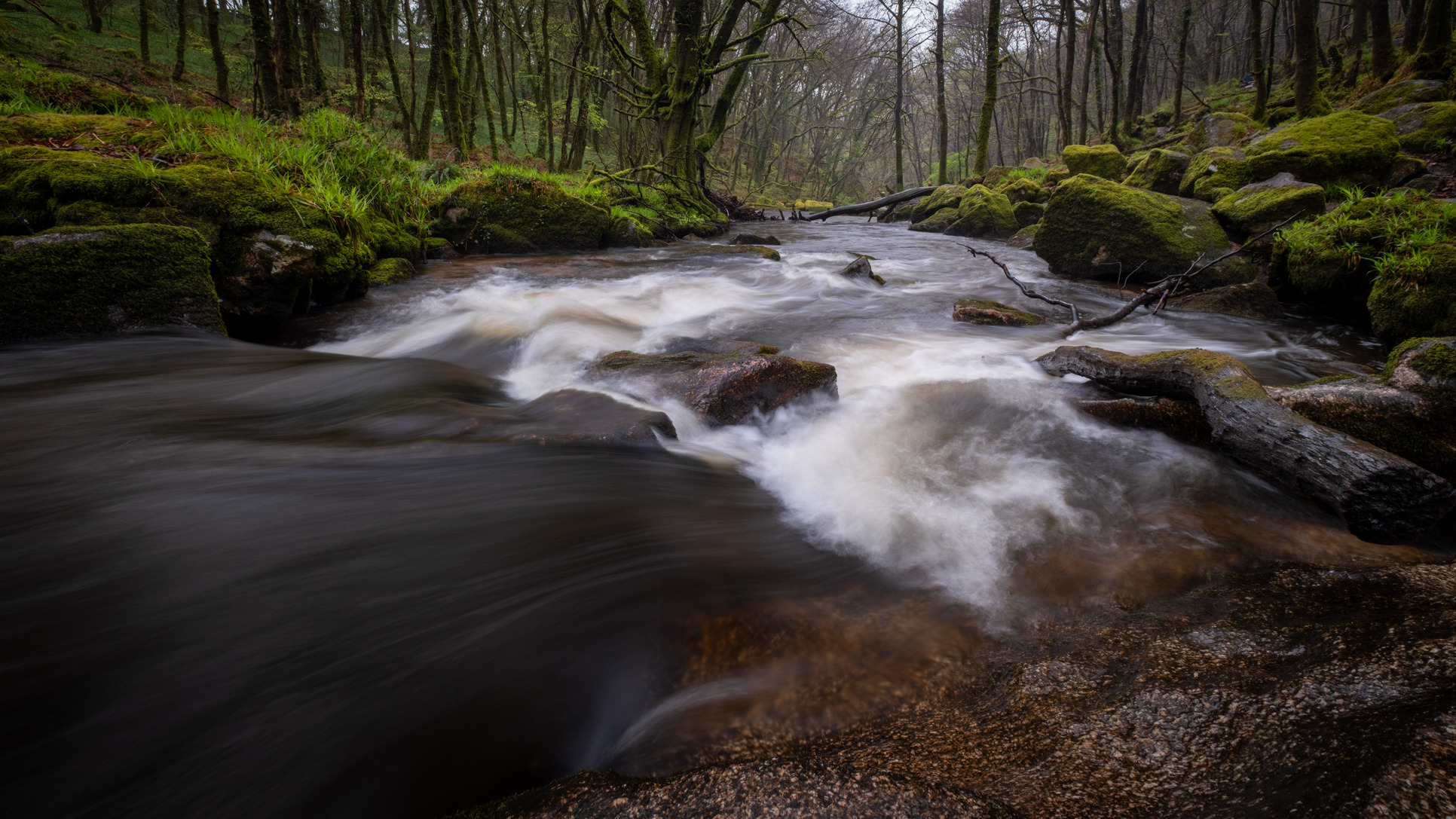 Golitha falls