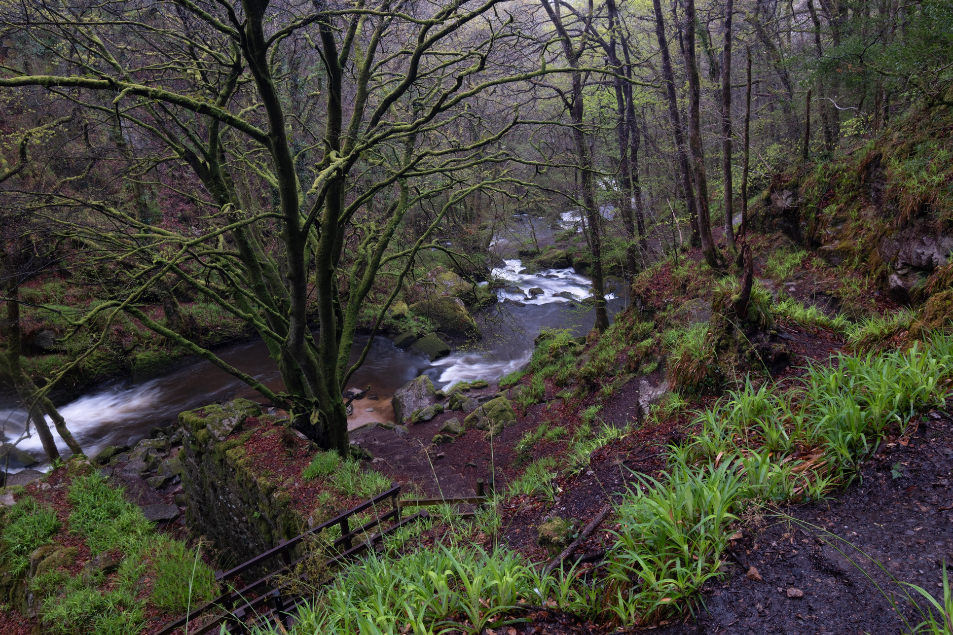 Golitha falls