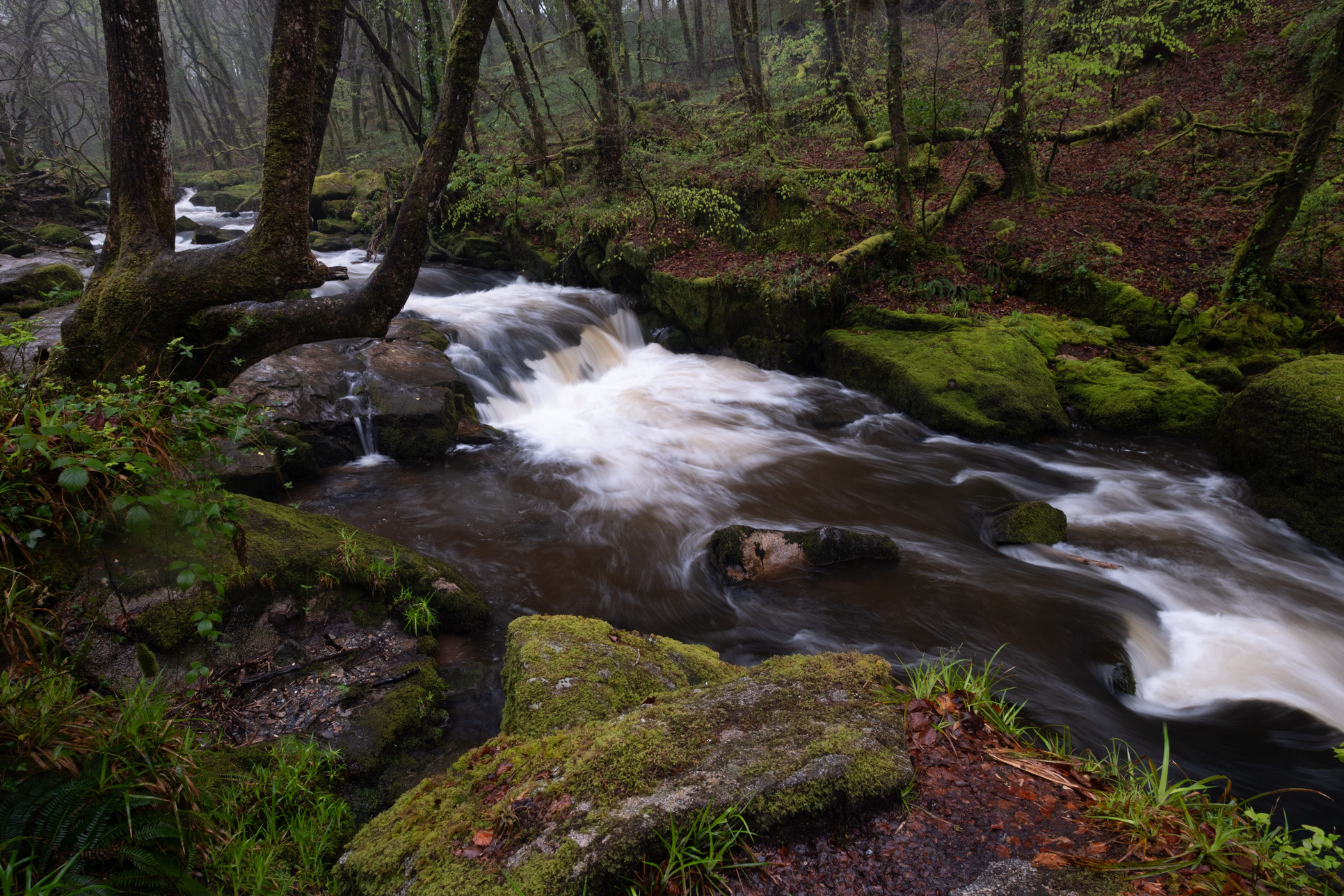 Golitha falls