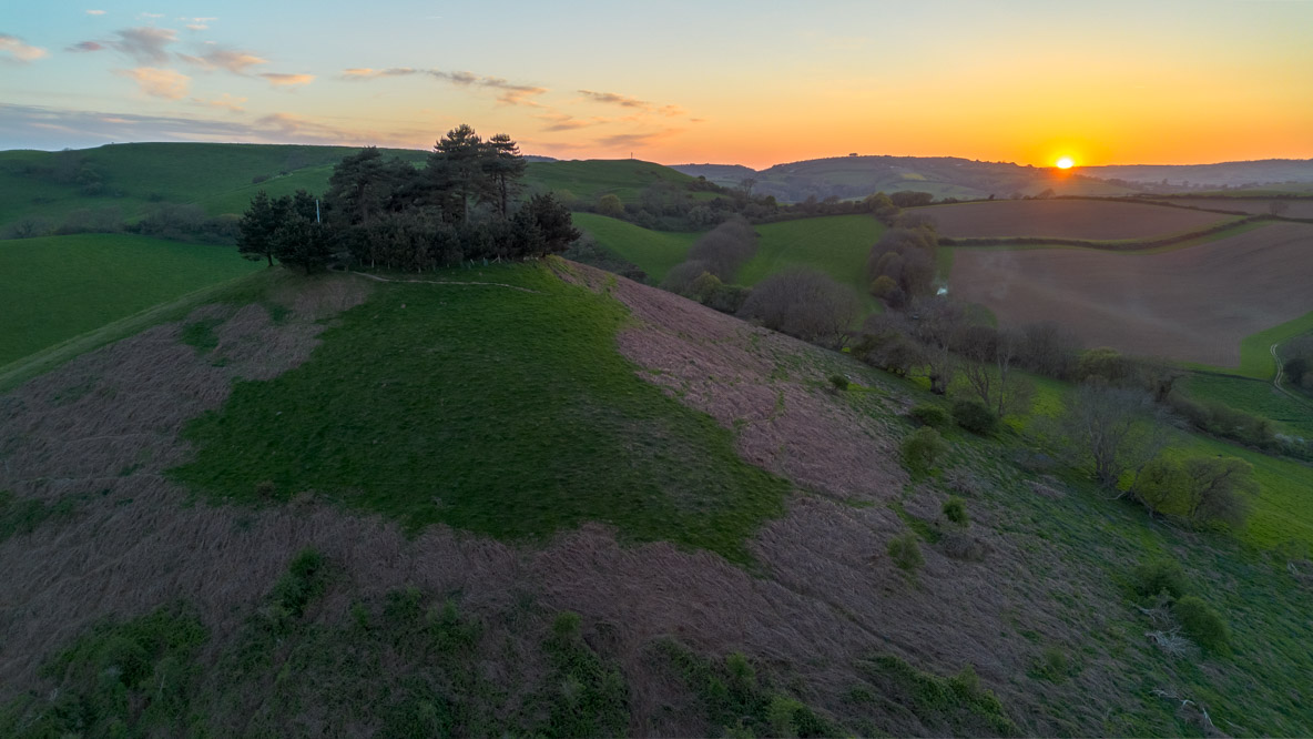 Dorset