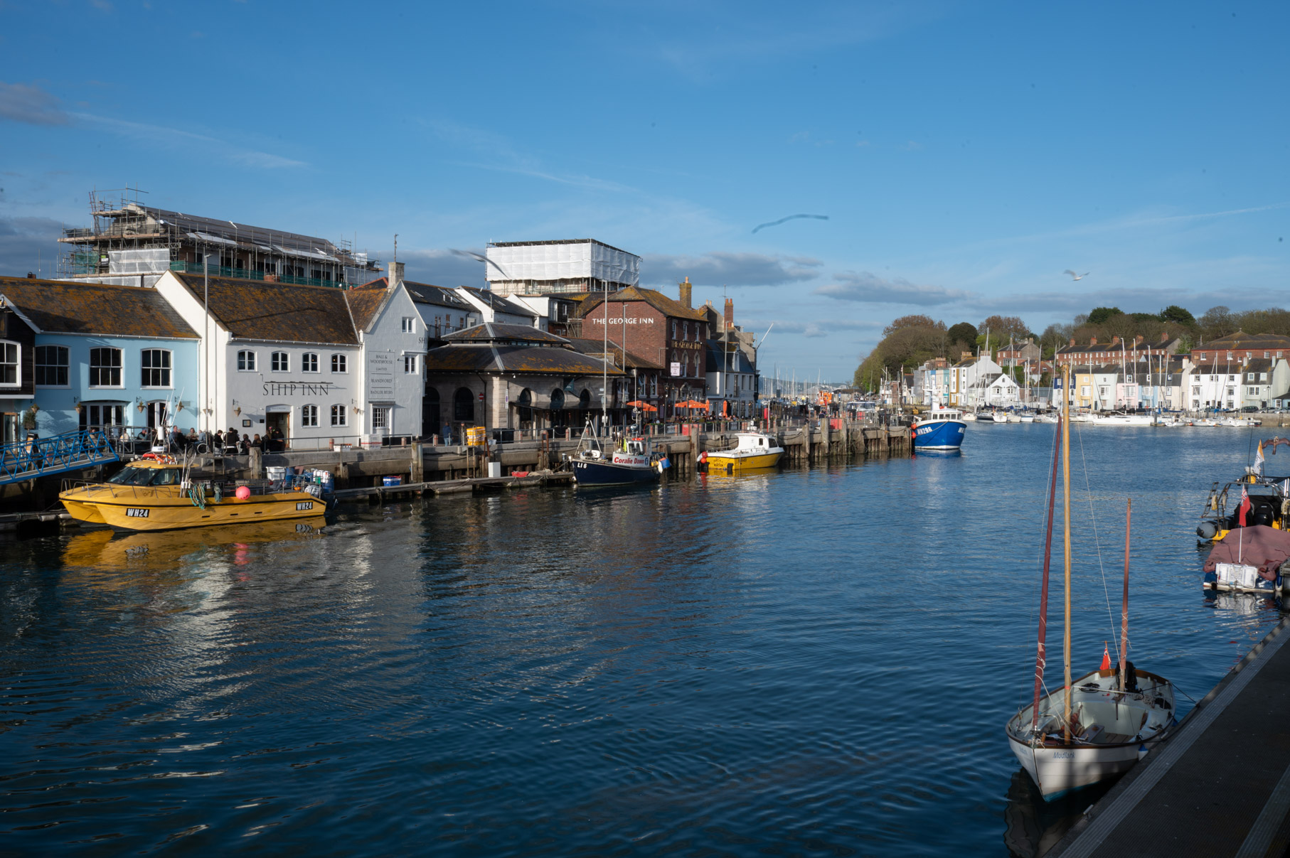 Dorset