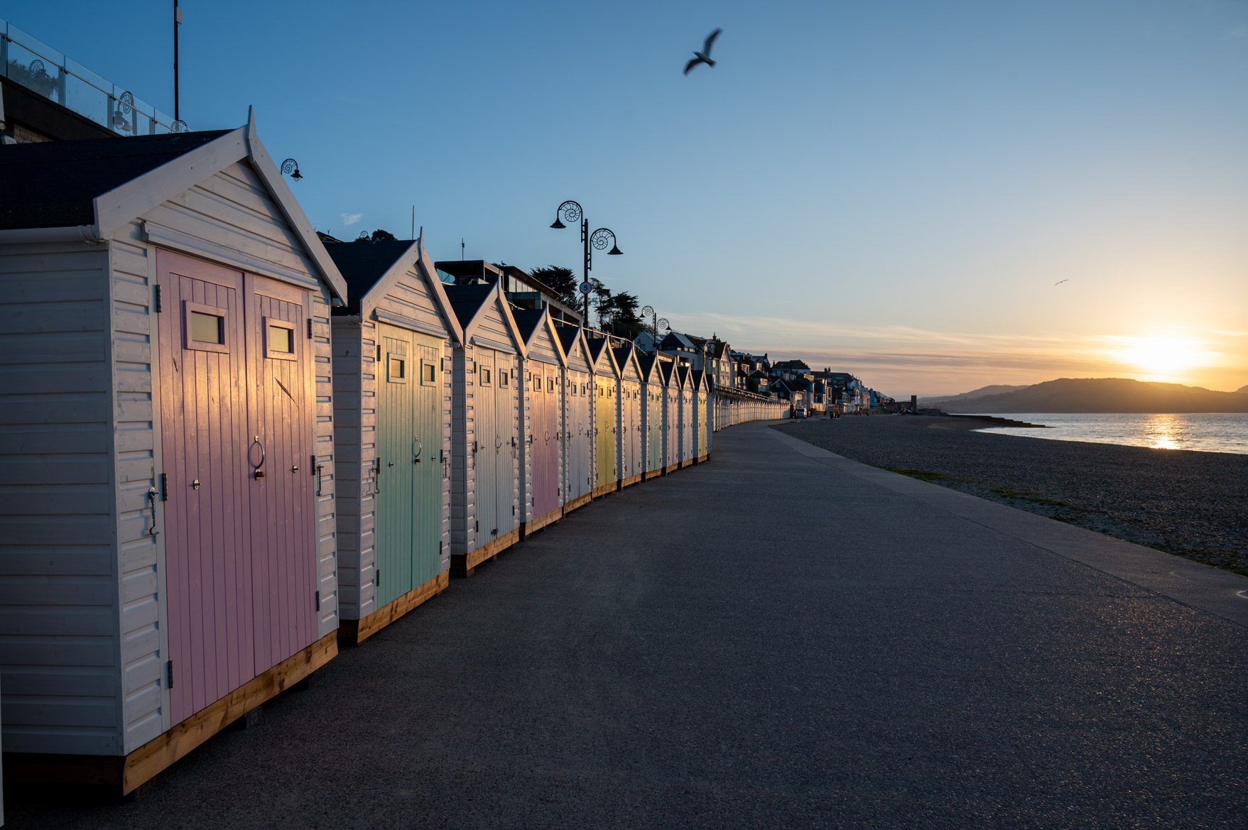 Dorset