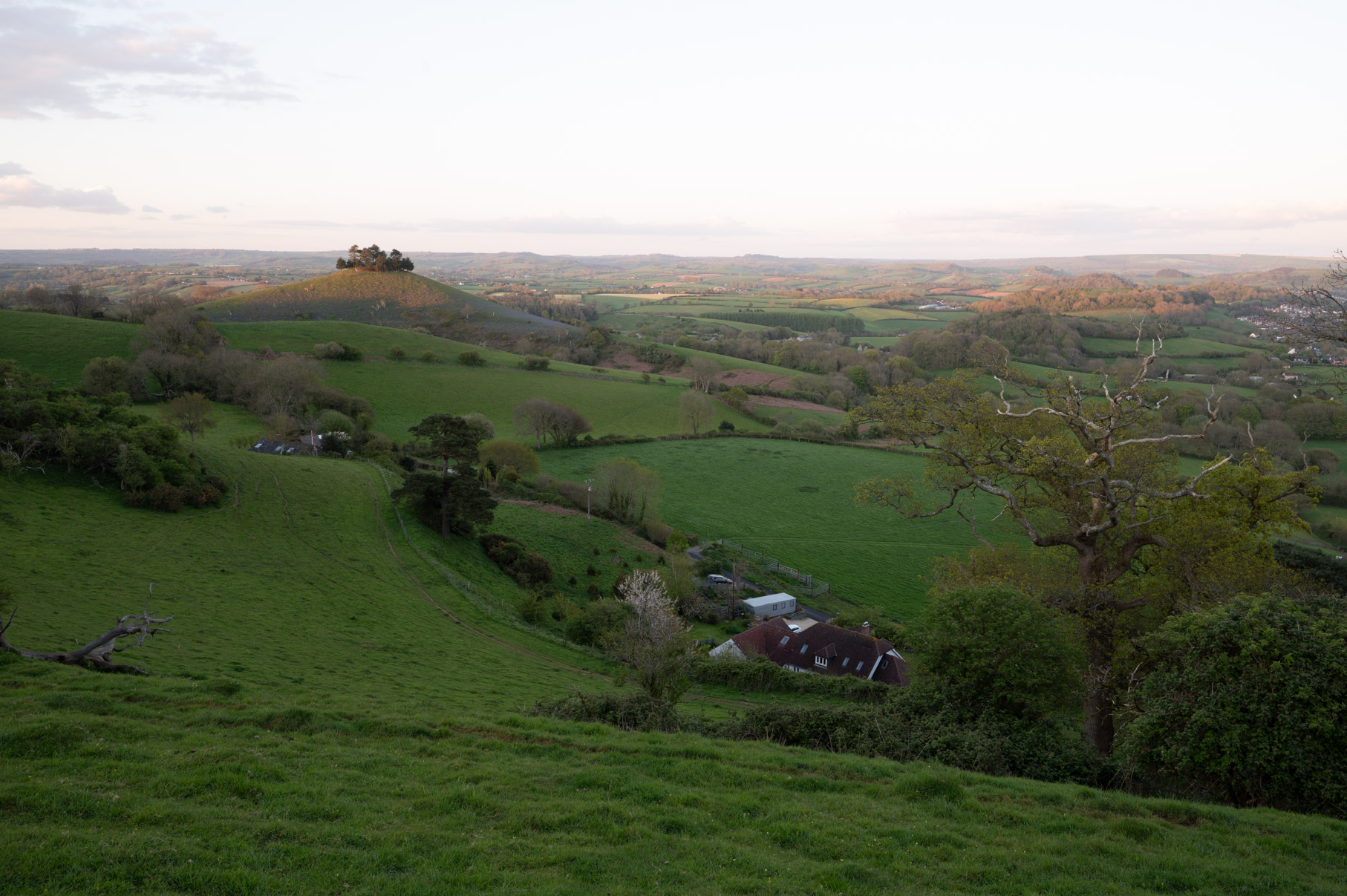 Dorset