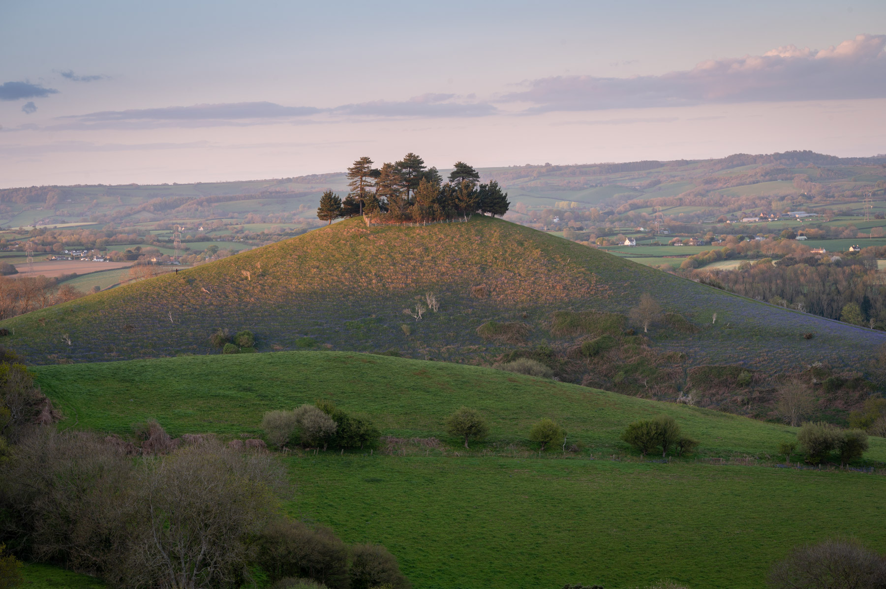 Dorset