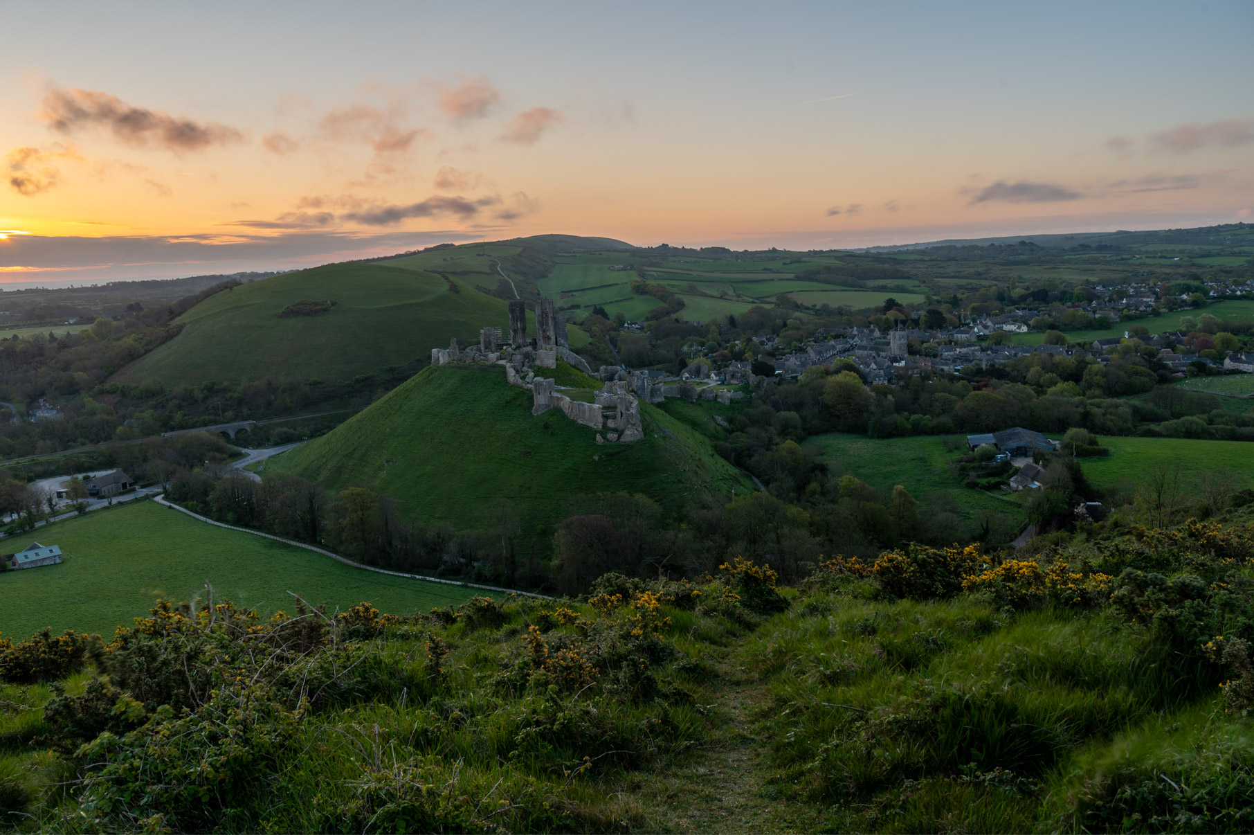 Dorset