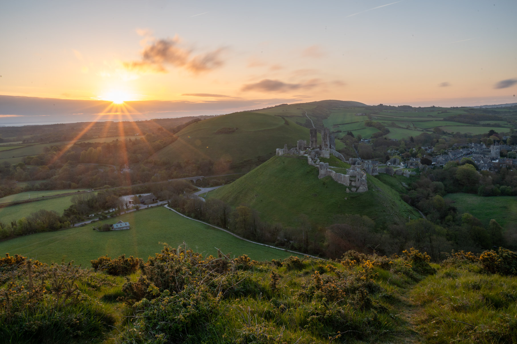 Dorset