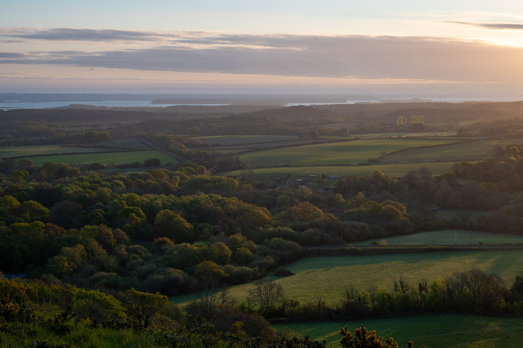 Dorset
