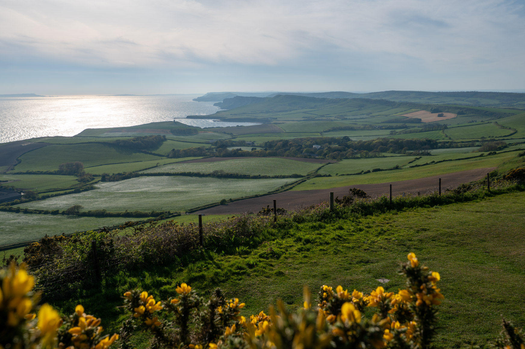 Dorset
