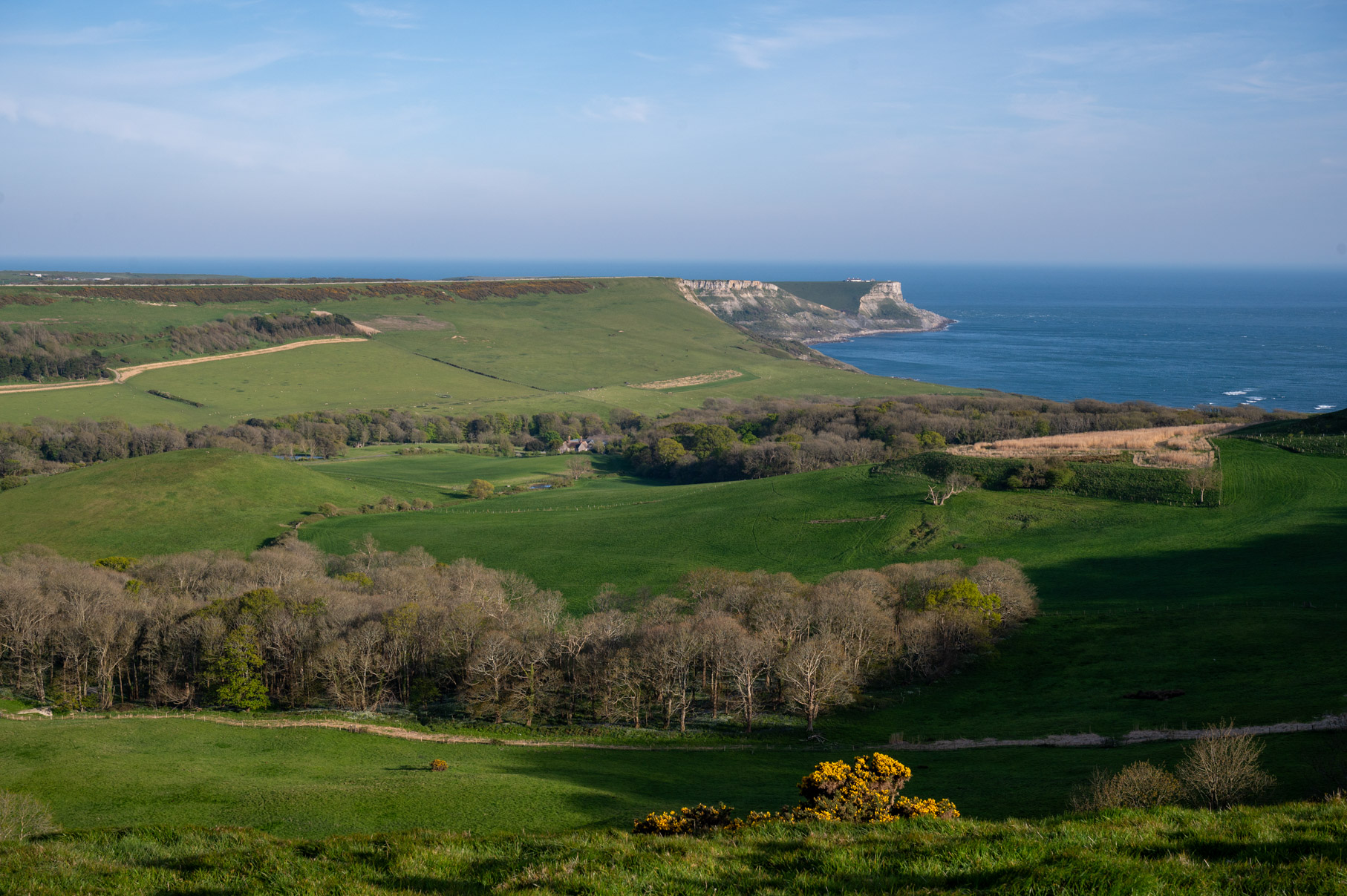Dorset