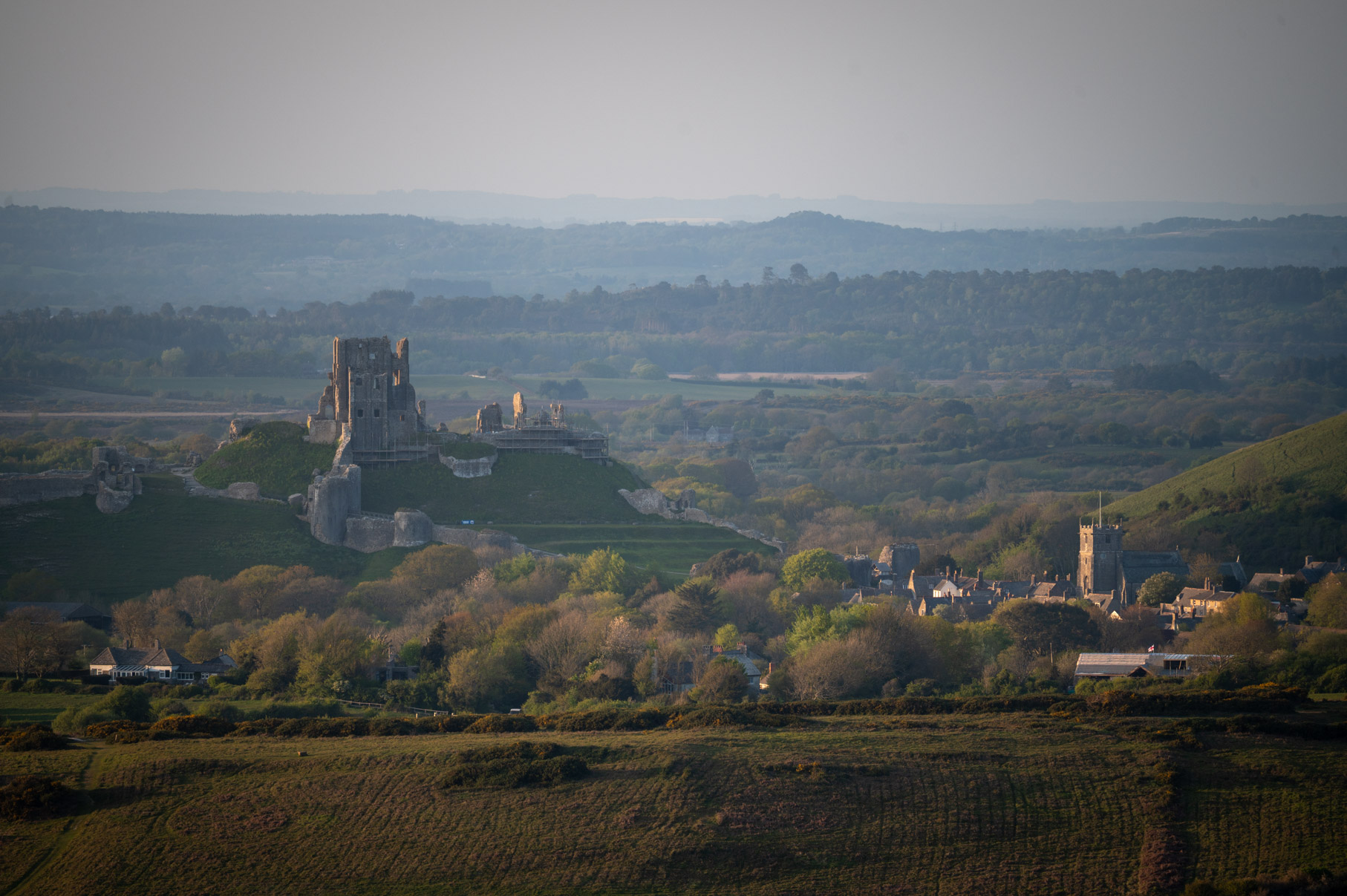 Dorset