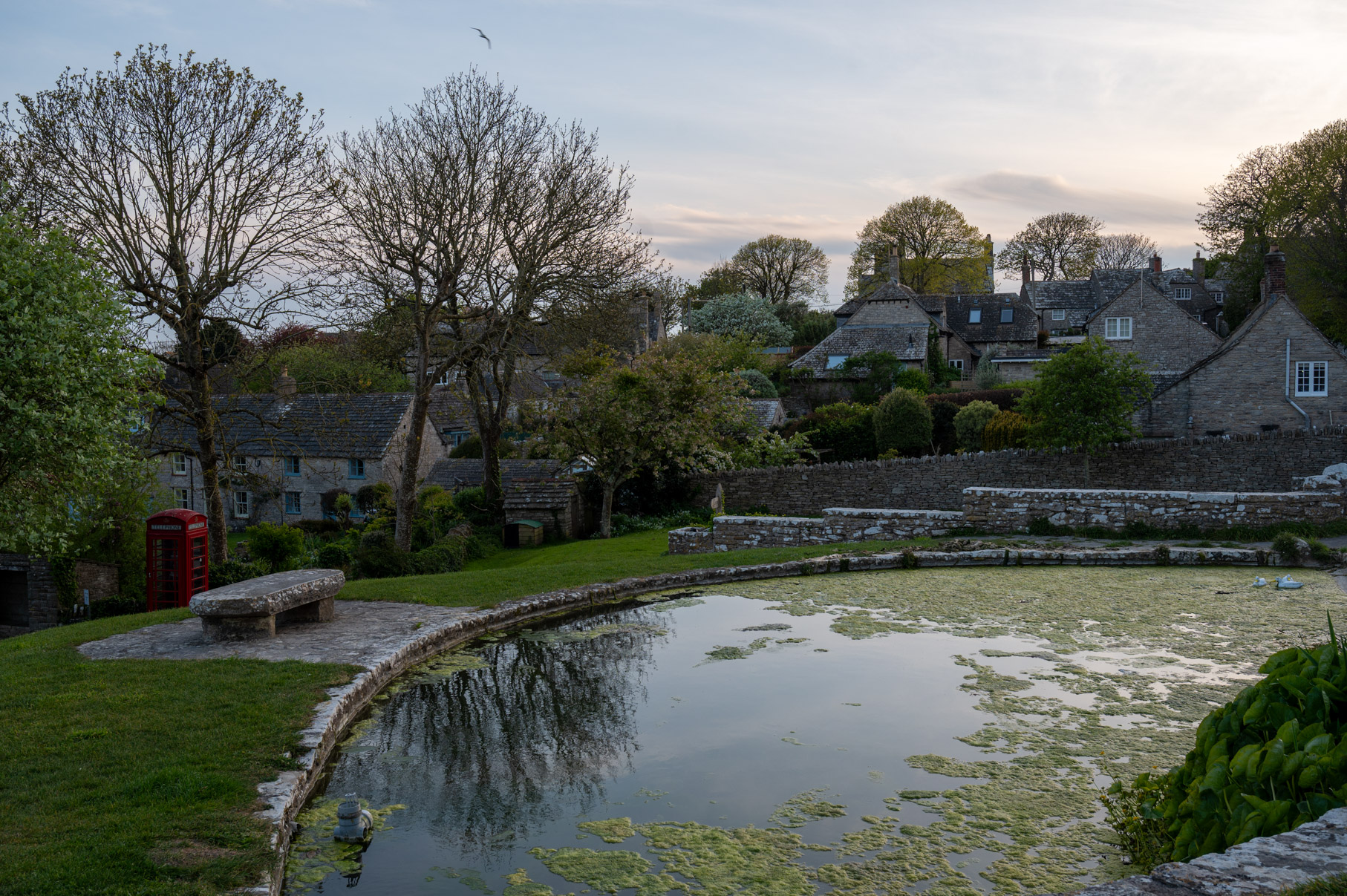 Dorset