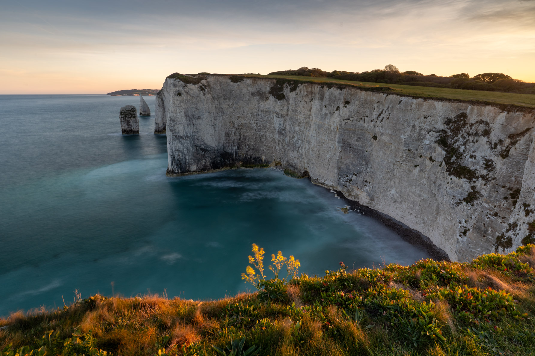 Dorset