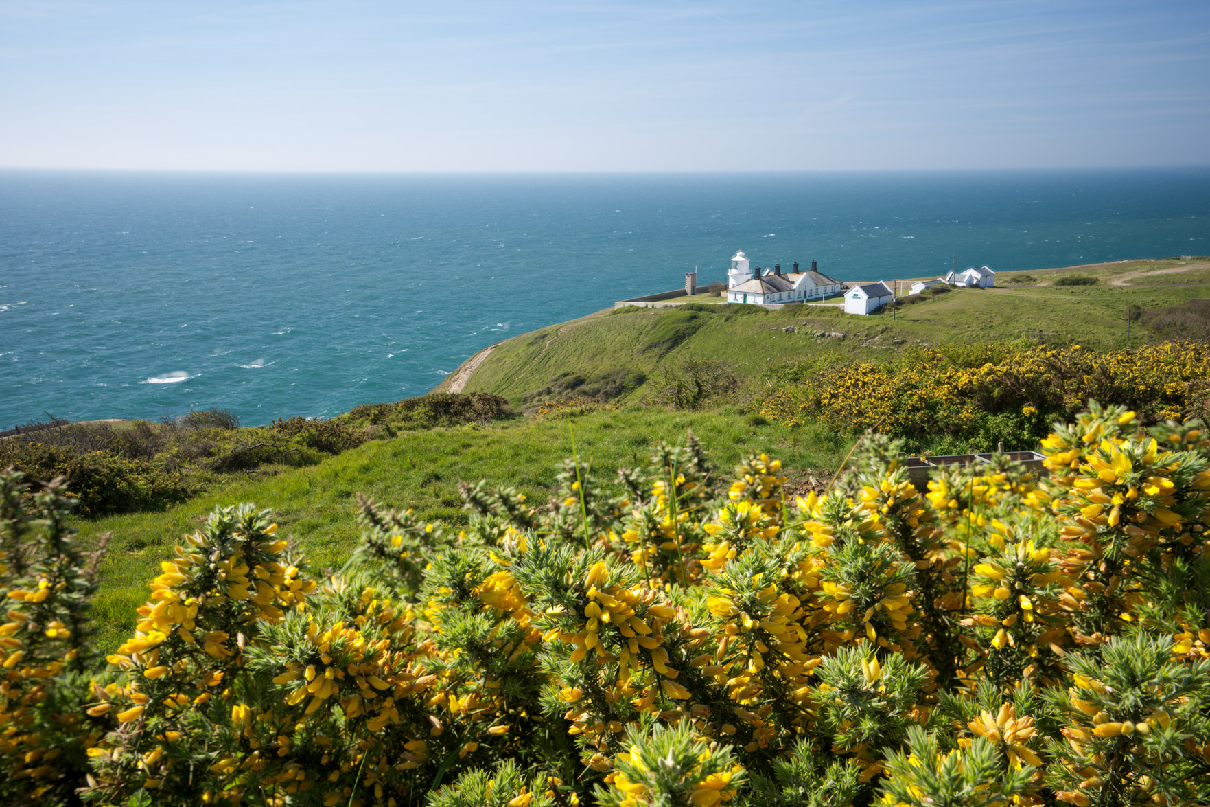 Dorset