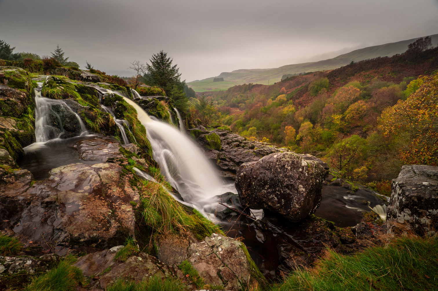 Loup of Fintry