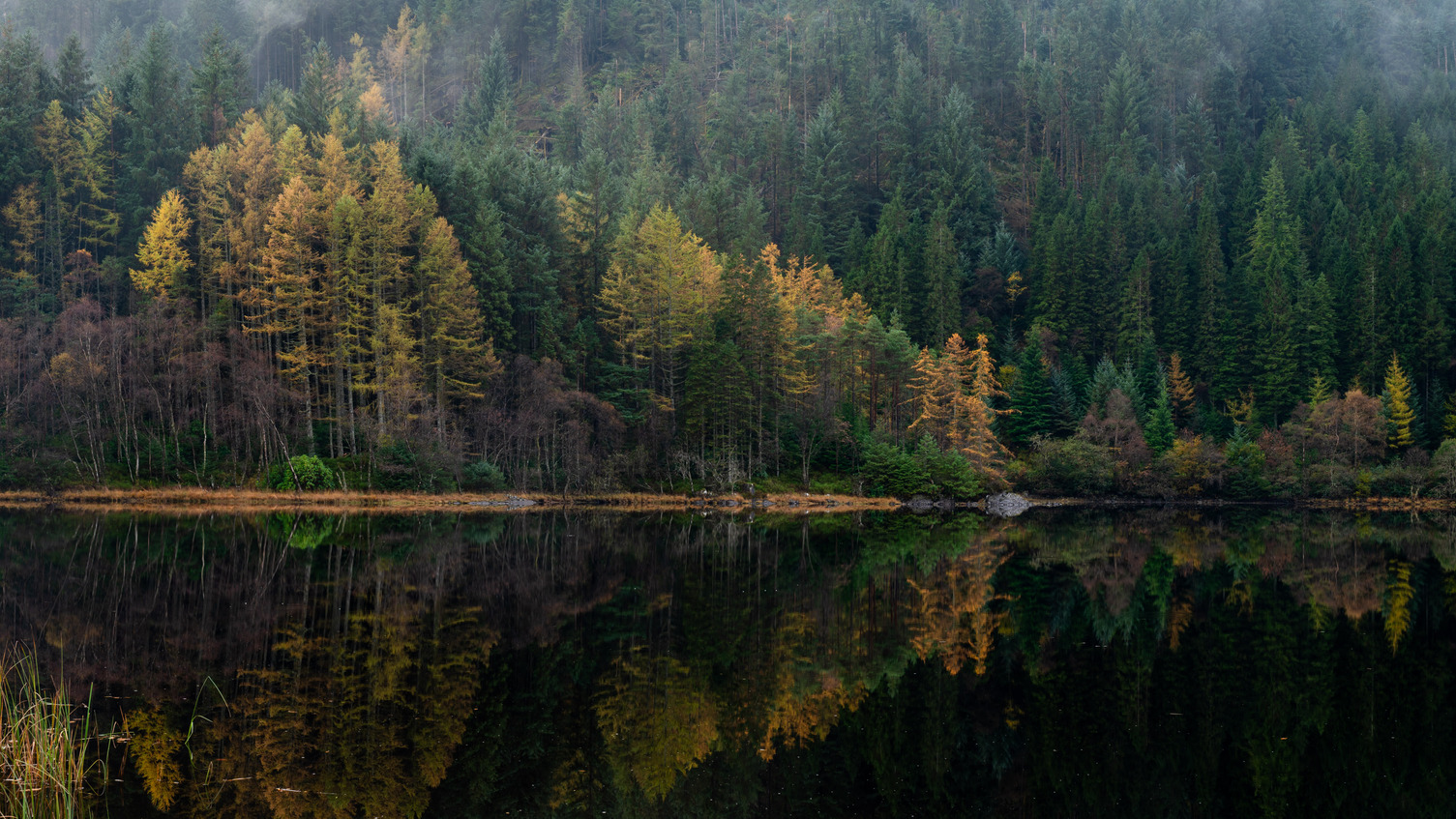 Scotland