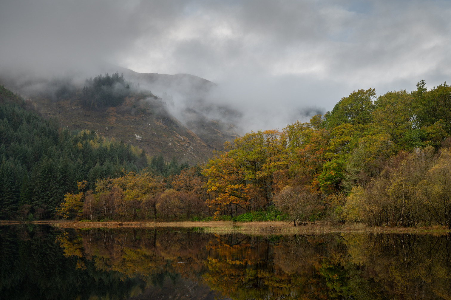 Scotland