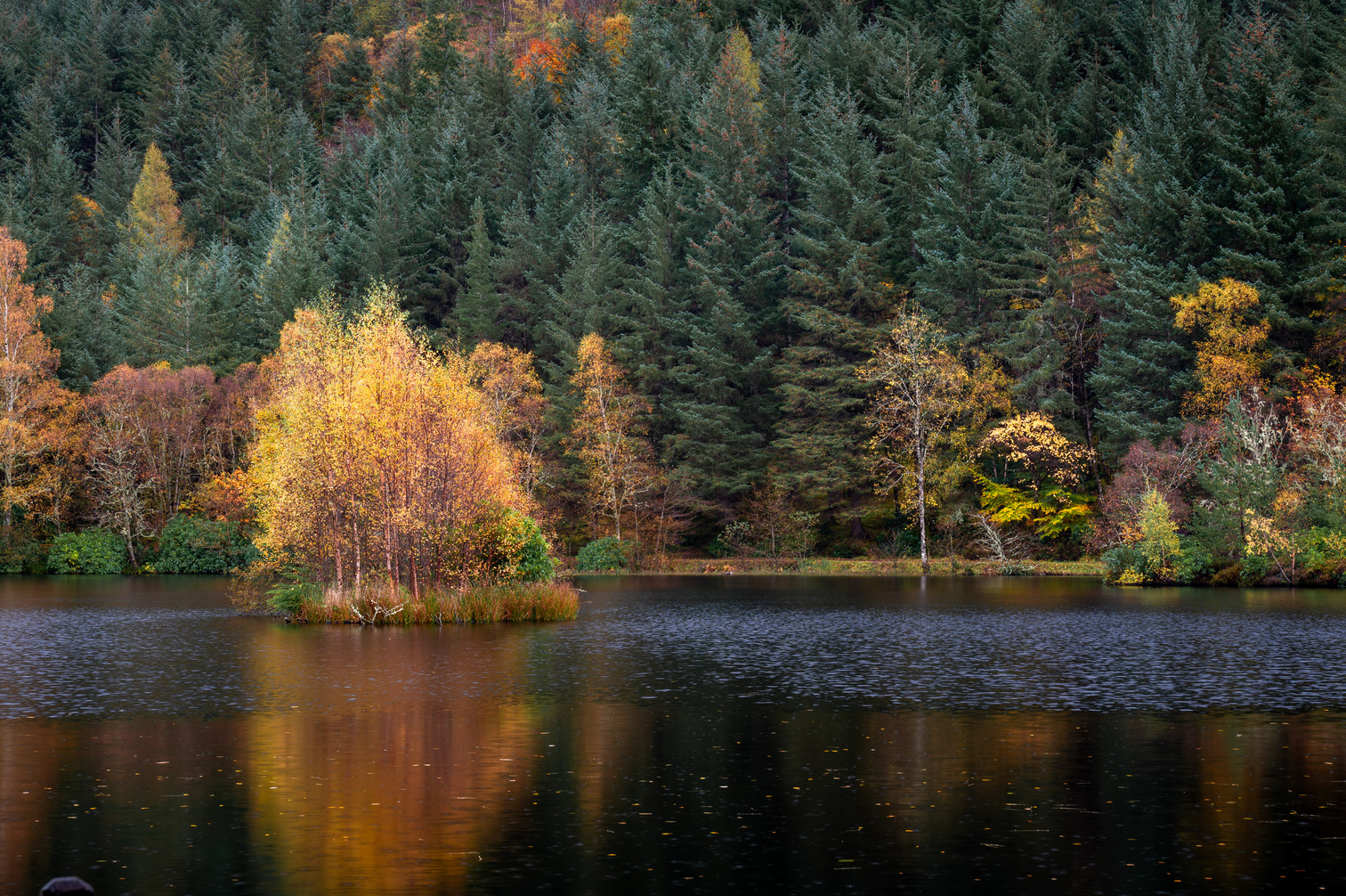 Glencoe Lochan
