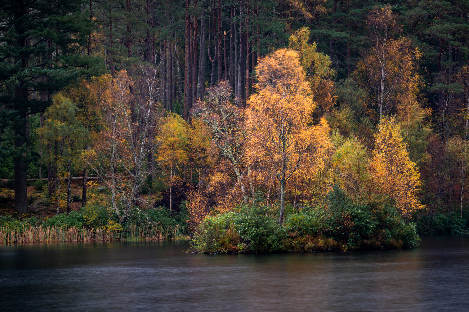 Glencoe Lochan