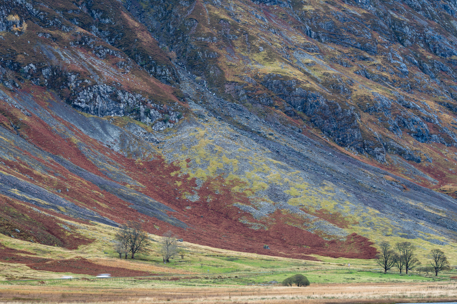 Scotland