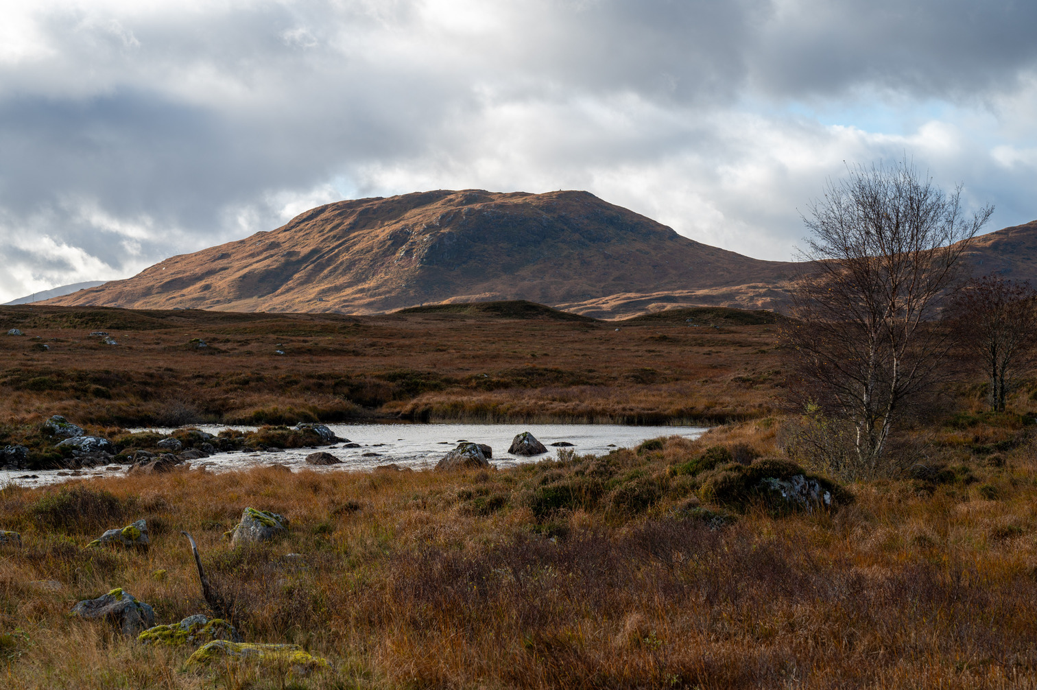 Scotland