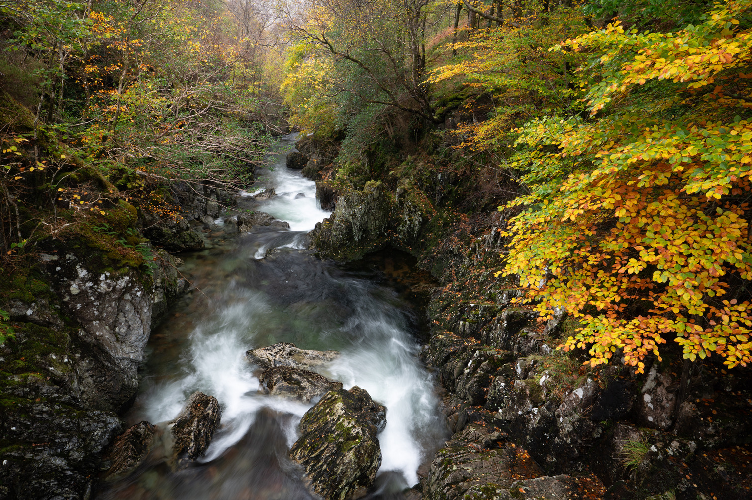 Scotland