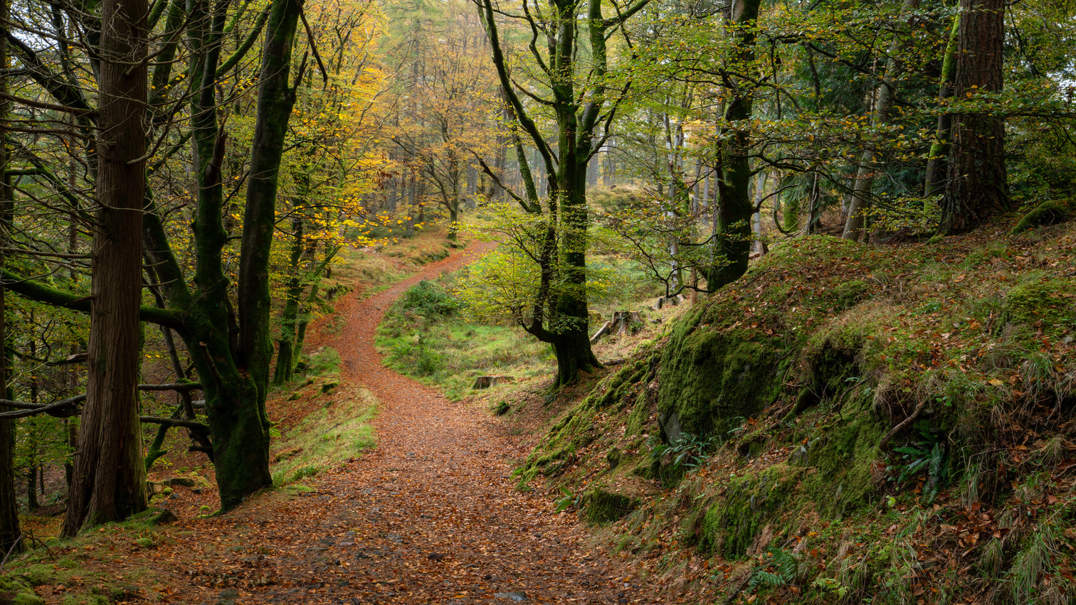 Scotland