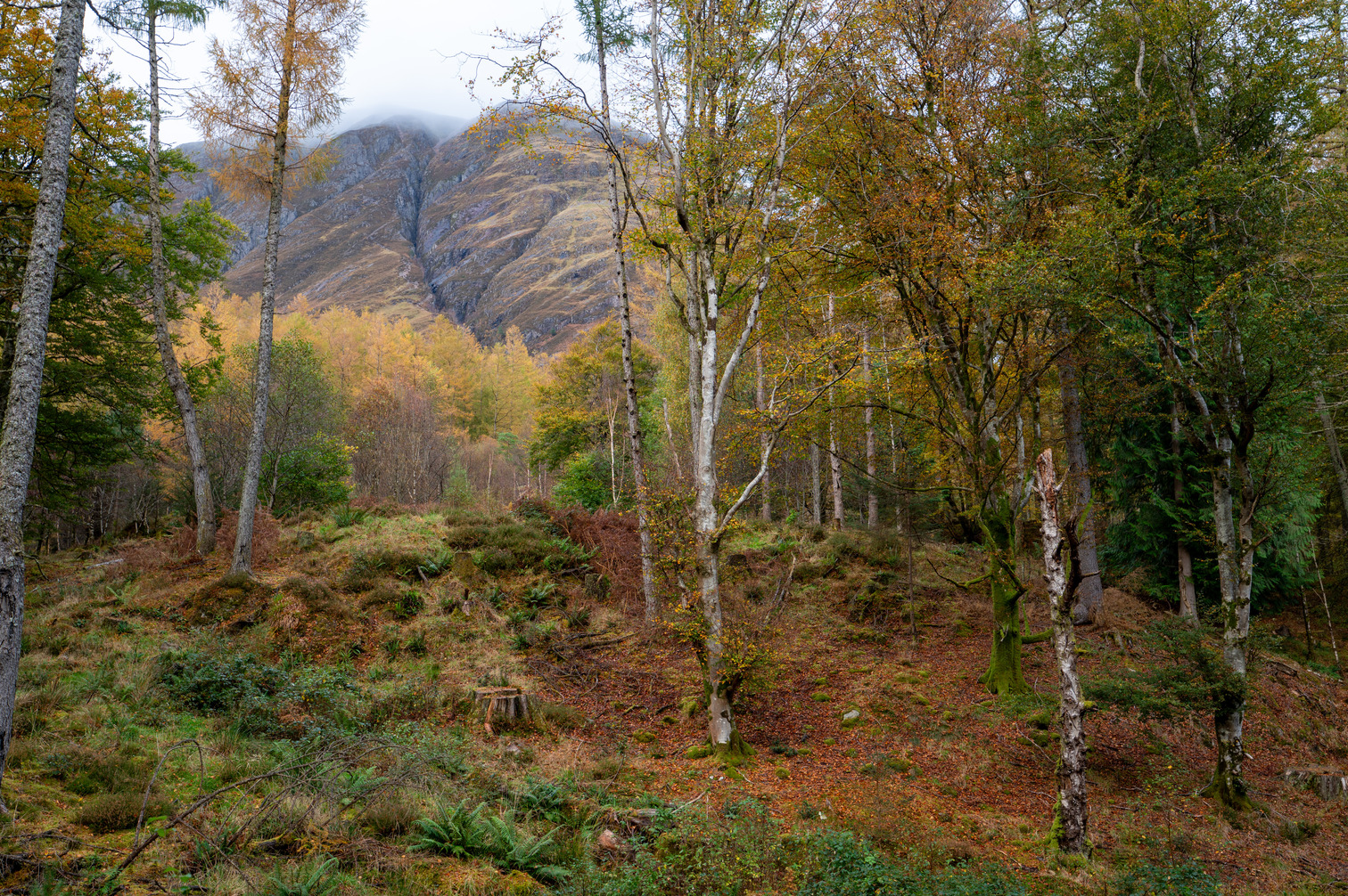 Scotland