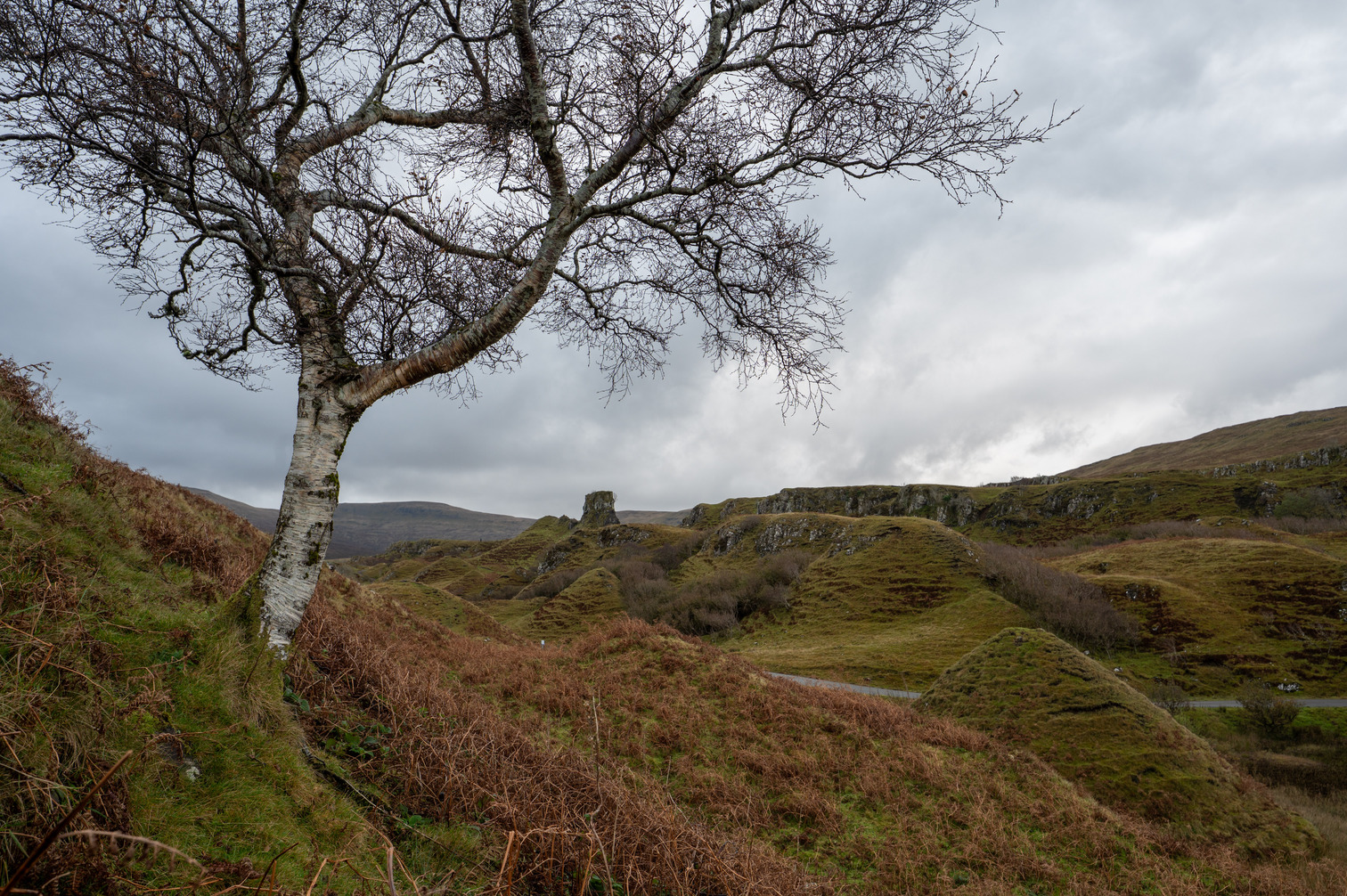 Fairy Glen