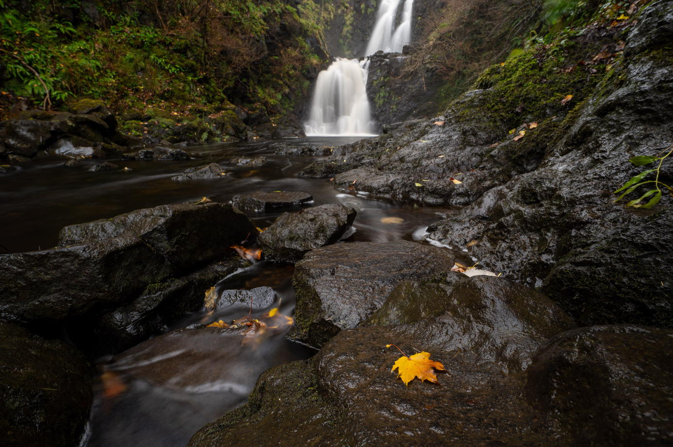 Scotland