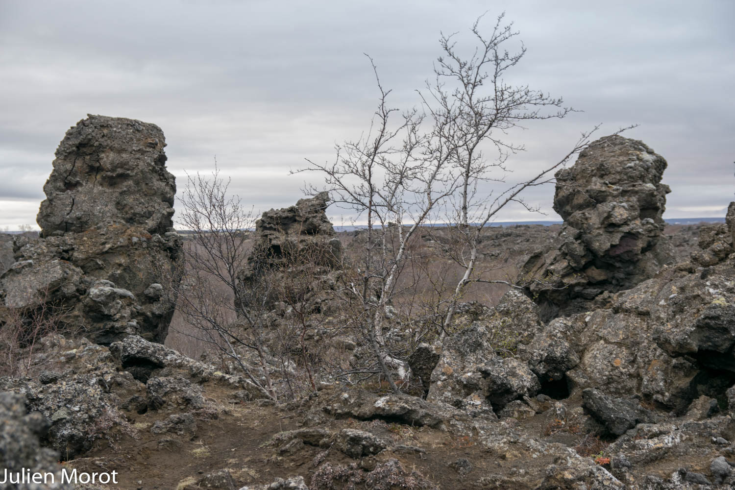 10062015-DSC\_0780