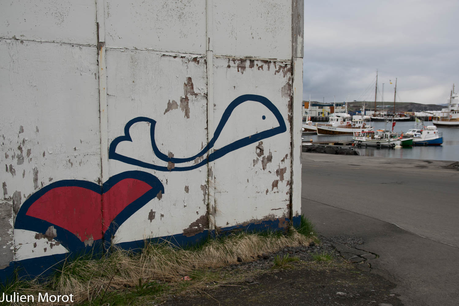 11062015-DSC\_0265