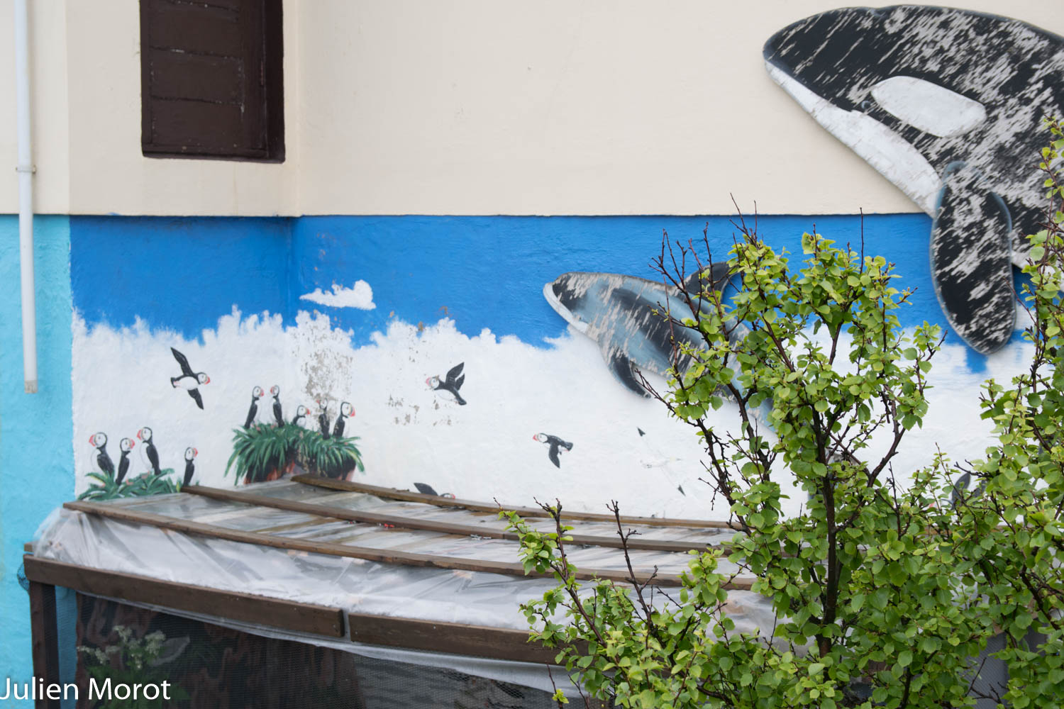 16062015-DSC\_0050