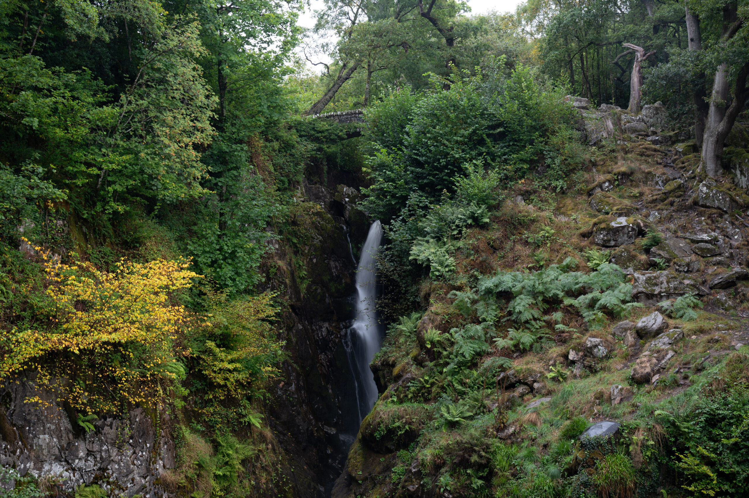 Lake District