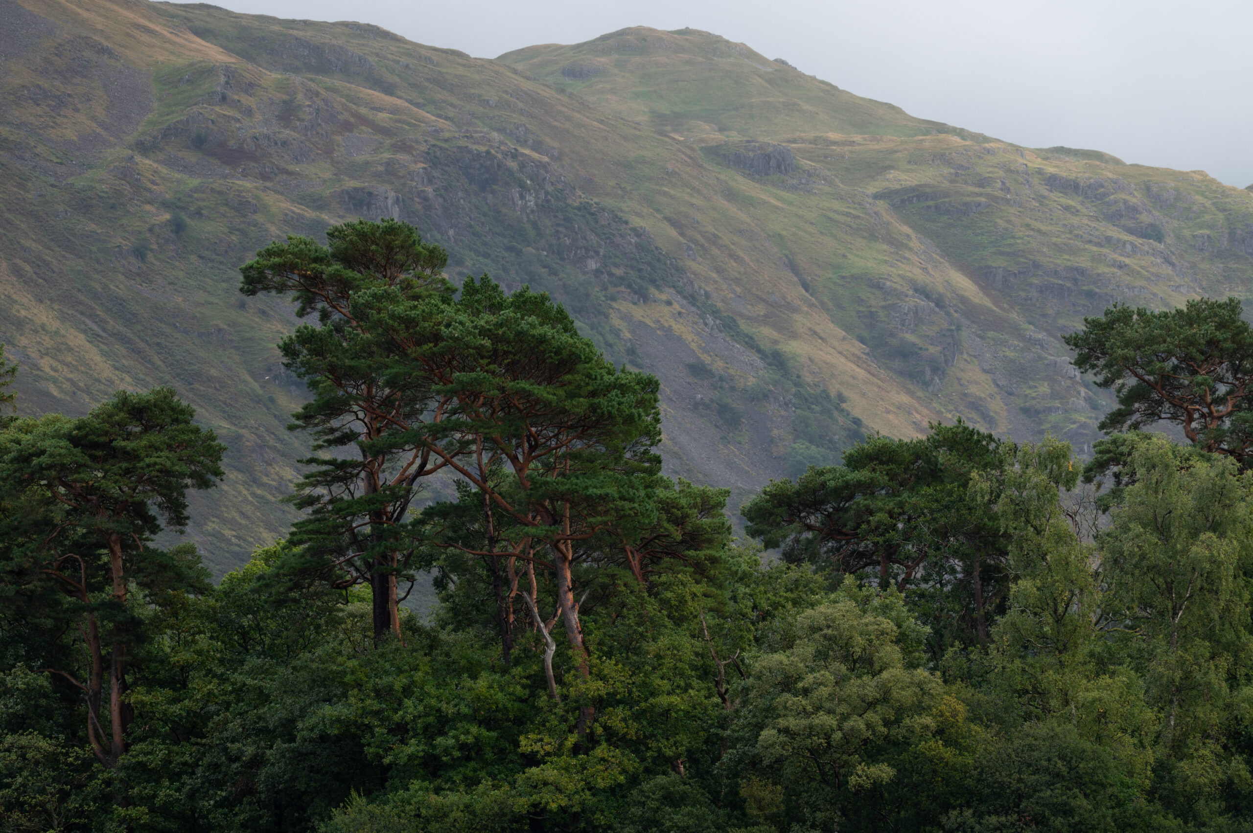 Lake District