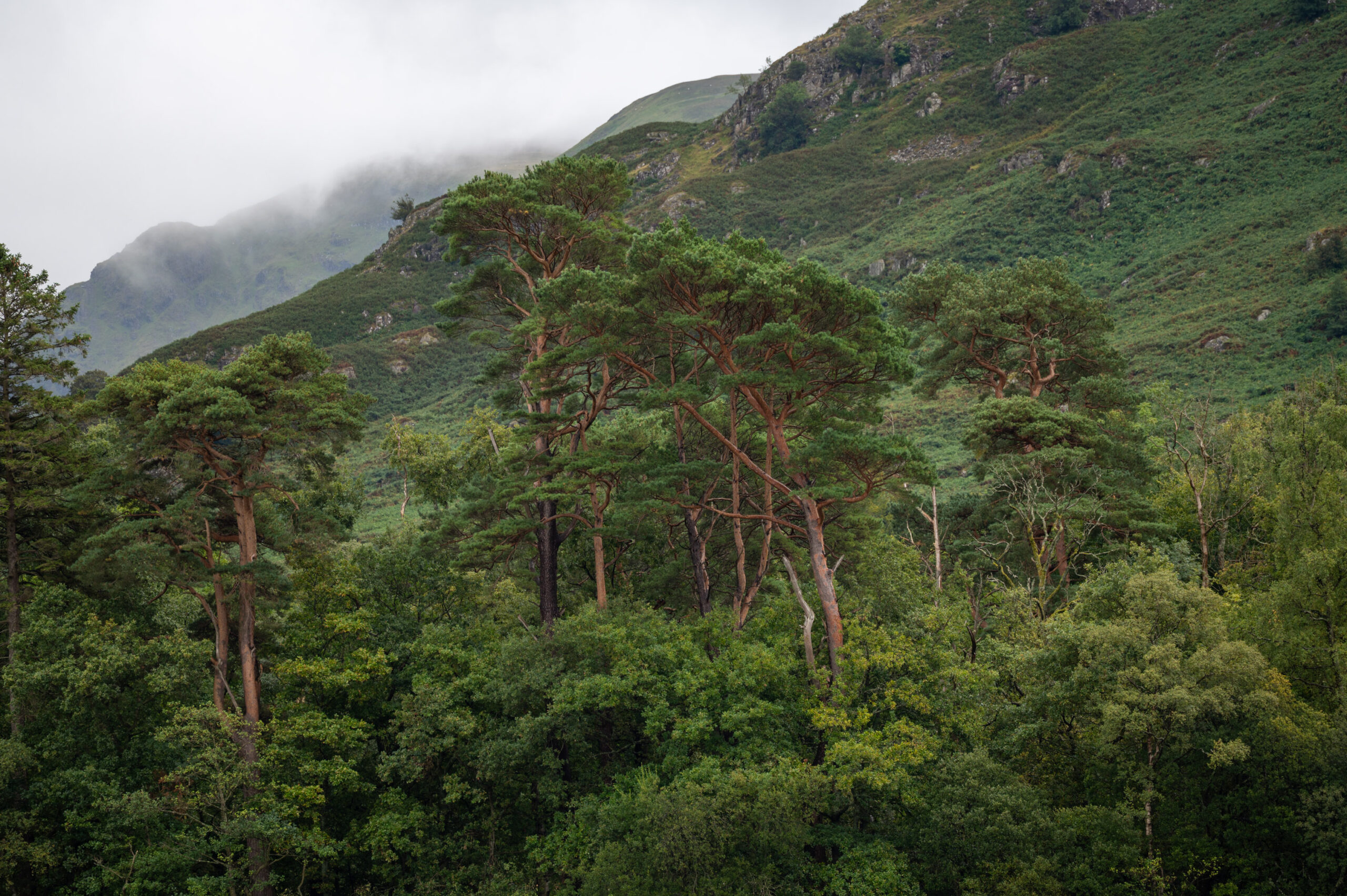 Lake District