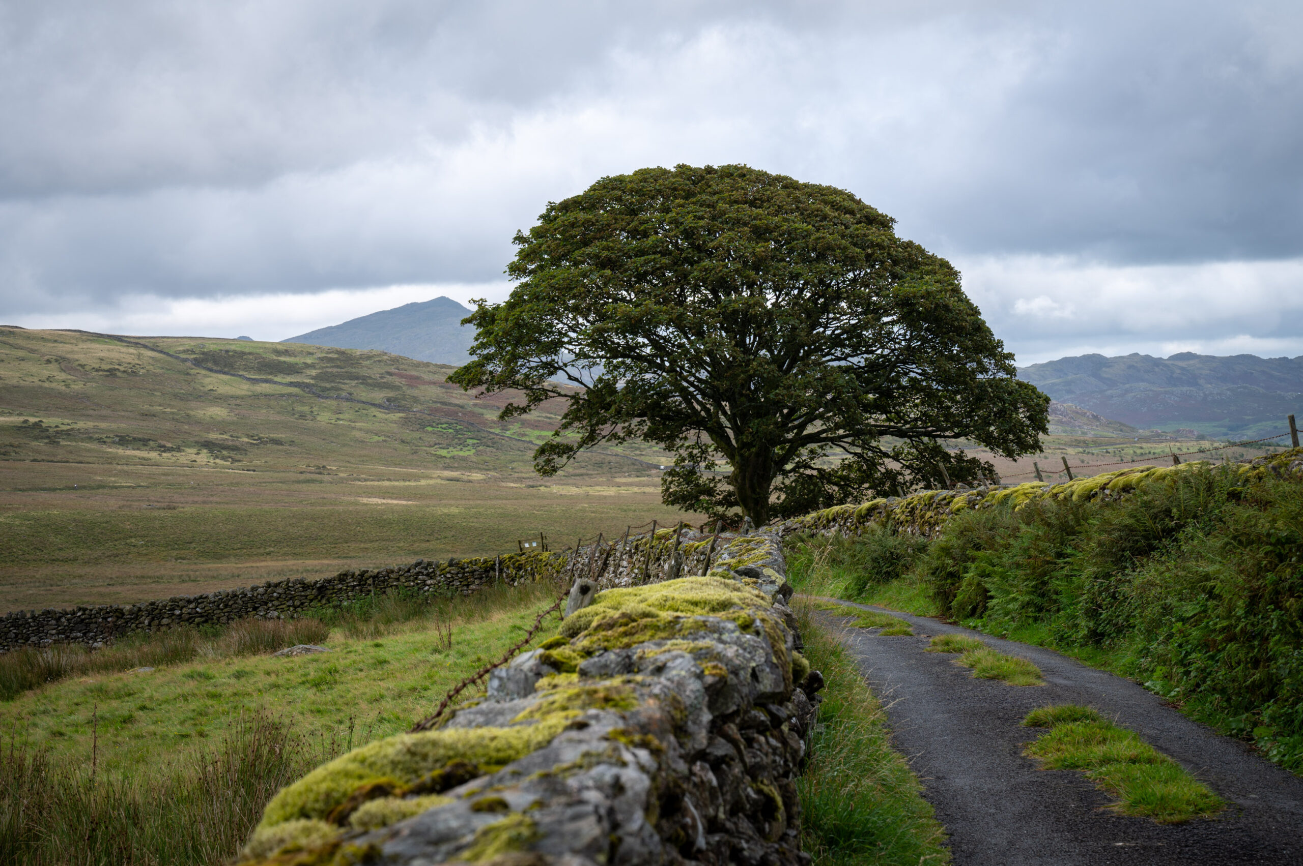 Lake District