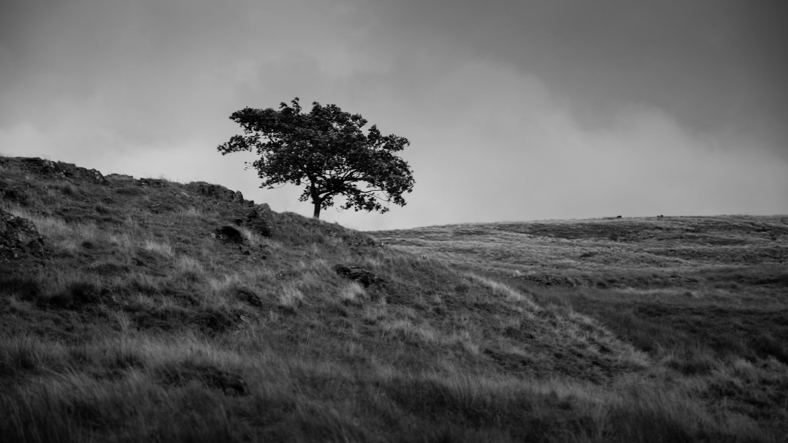 Lake District