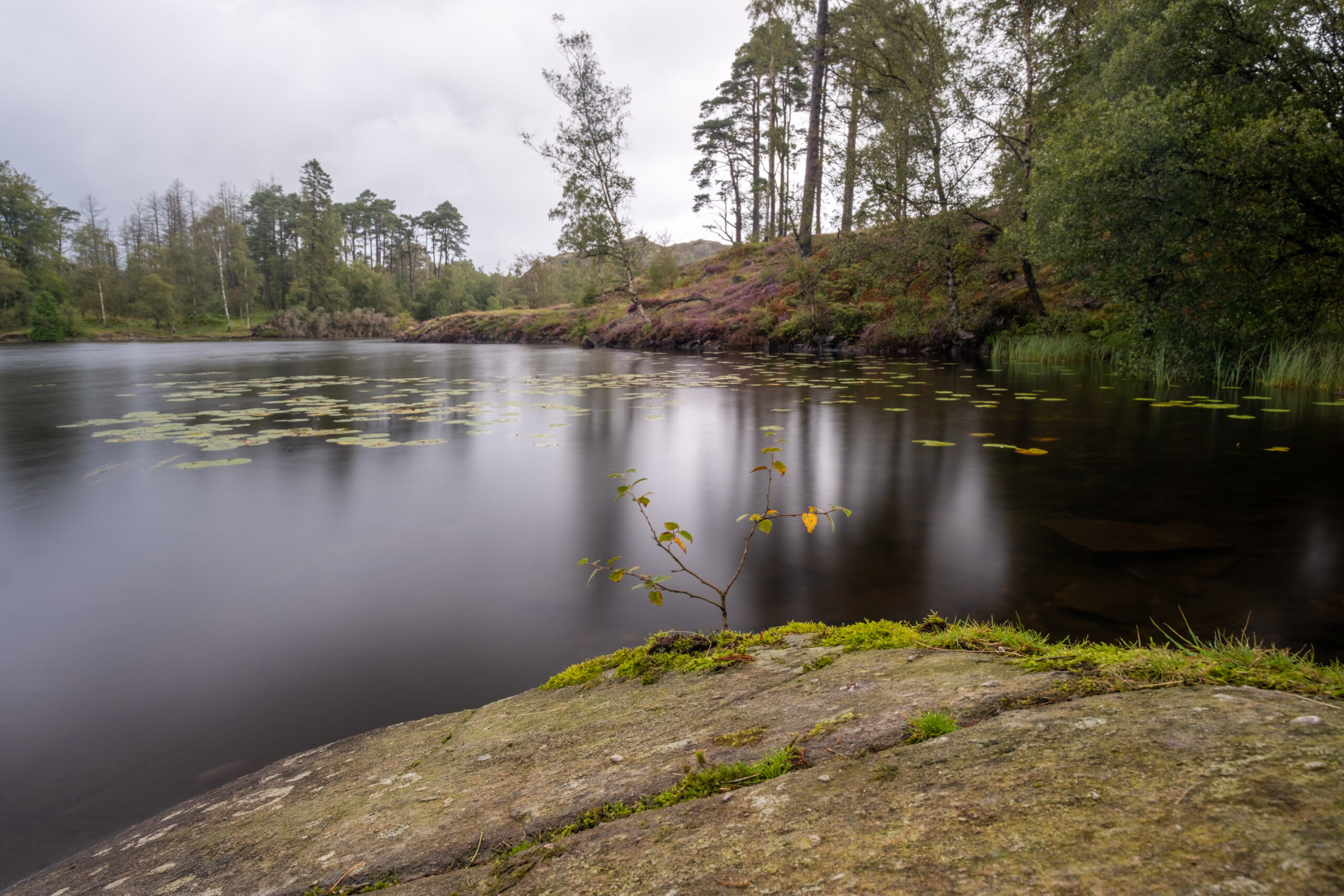 Lake District