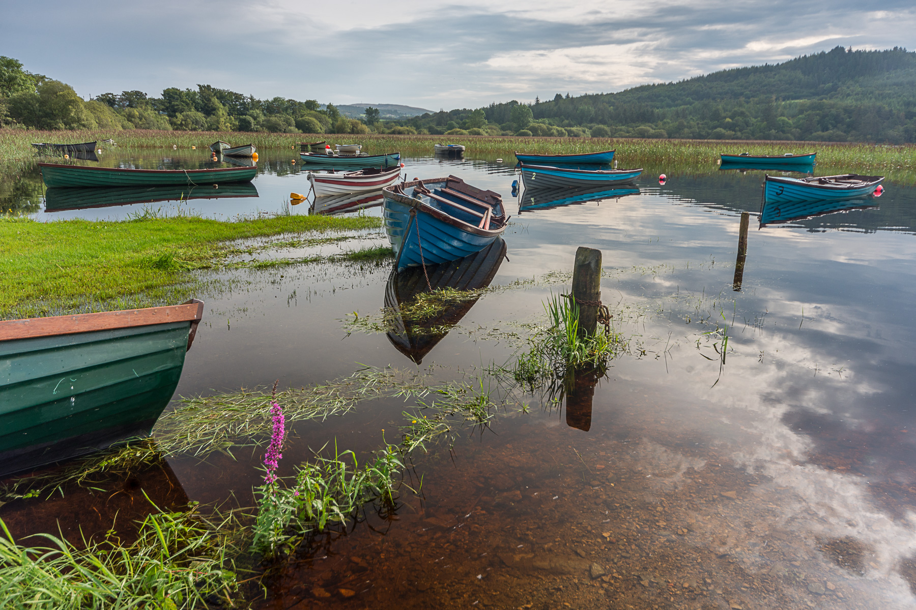 Donegal