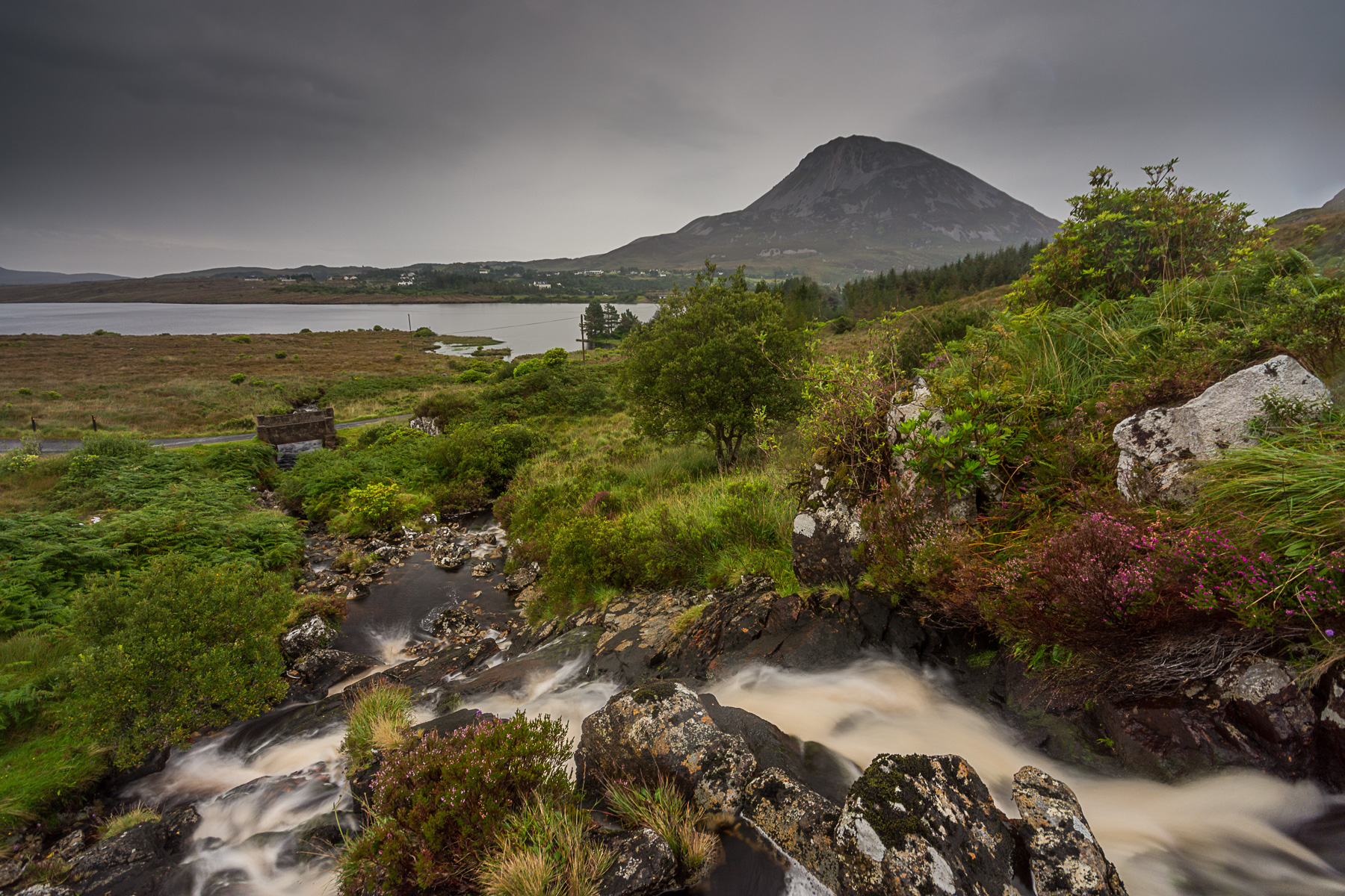 Donegal