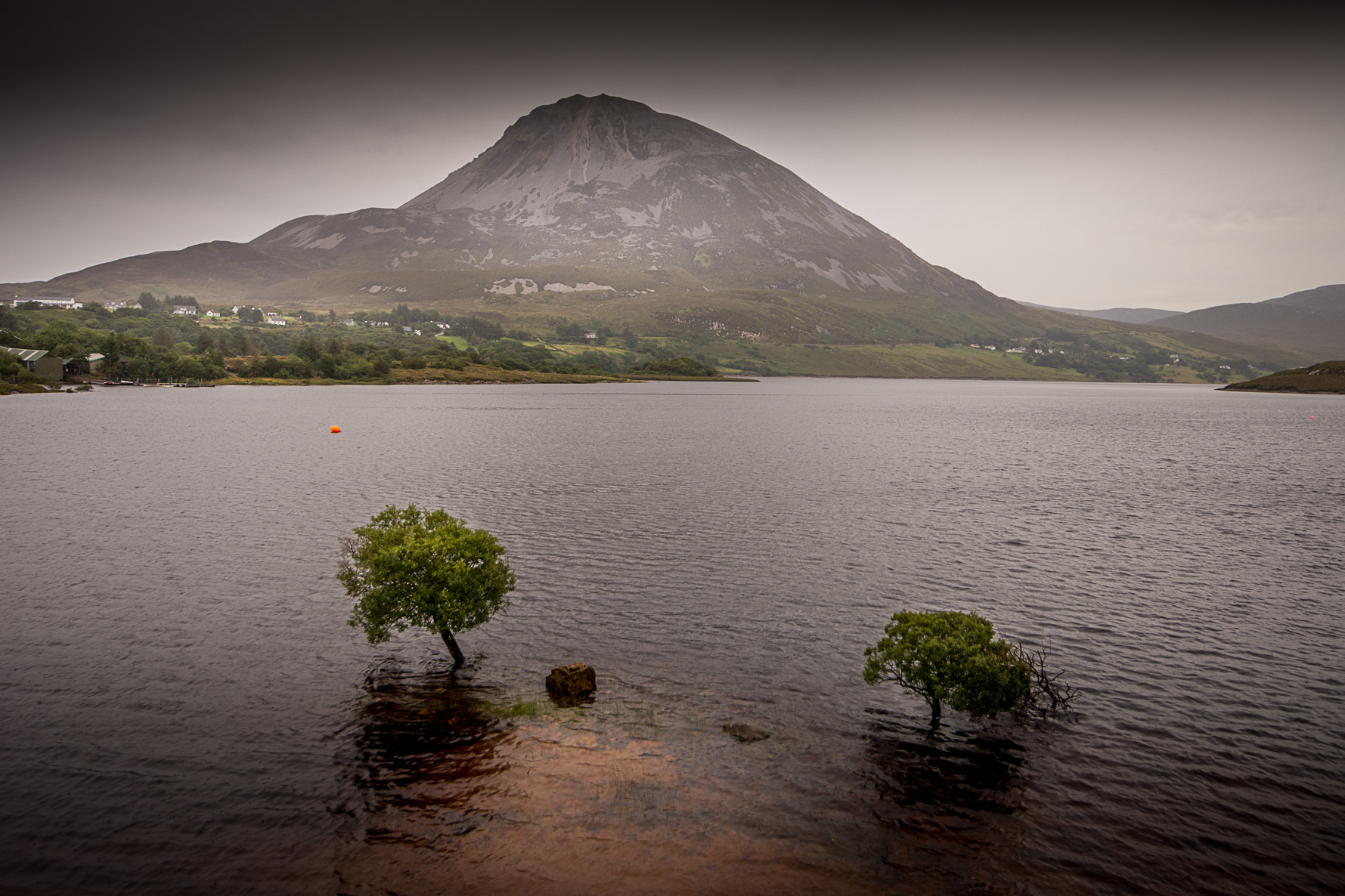 Donegal