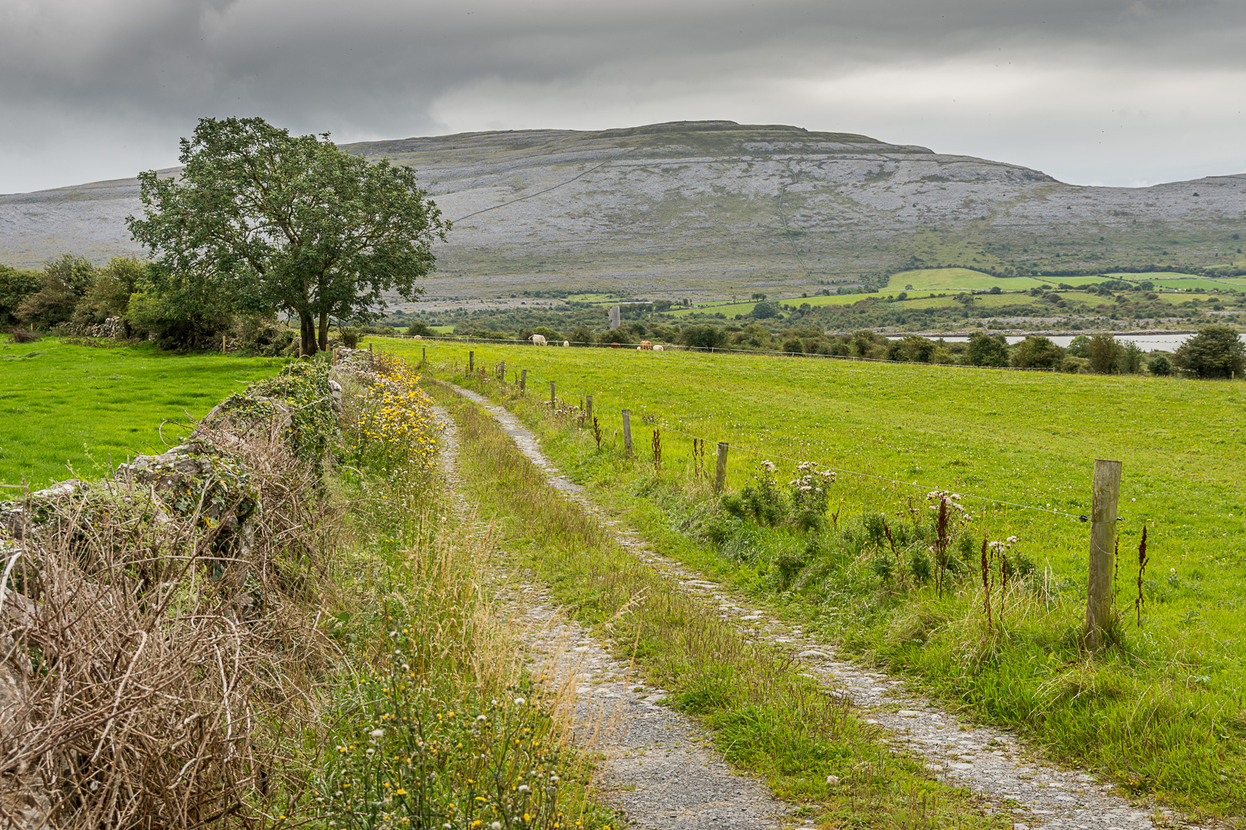 Irlande