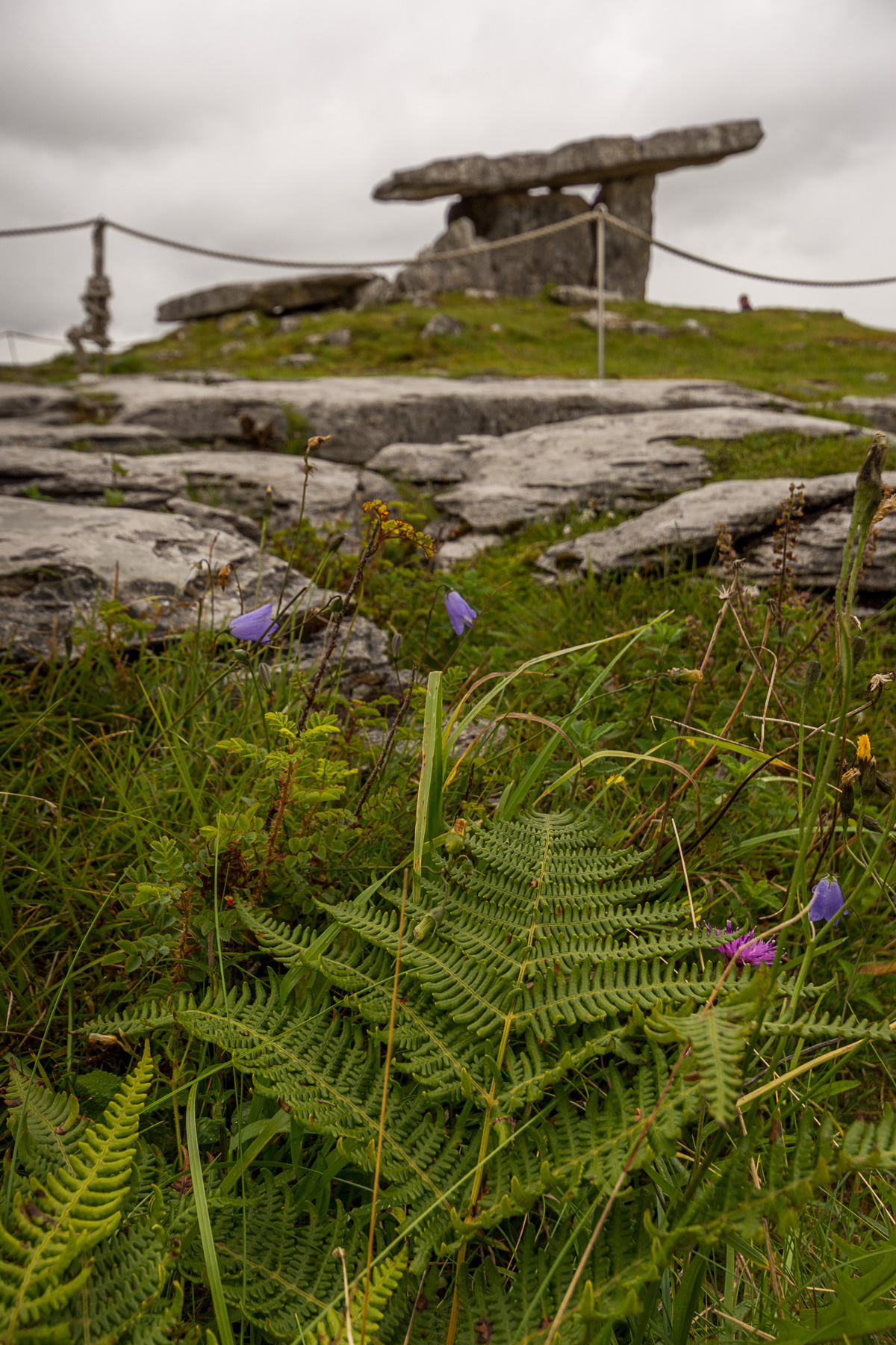 Irlande
