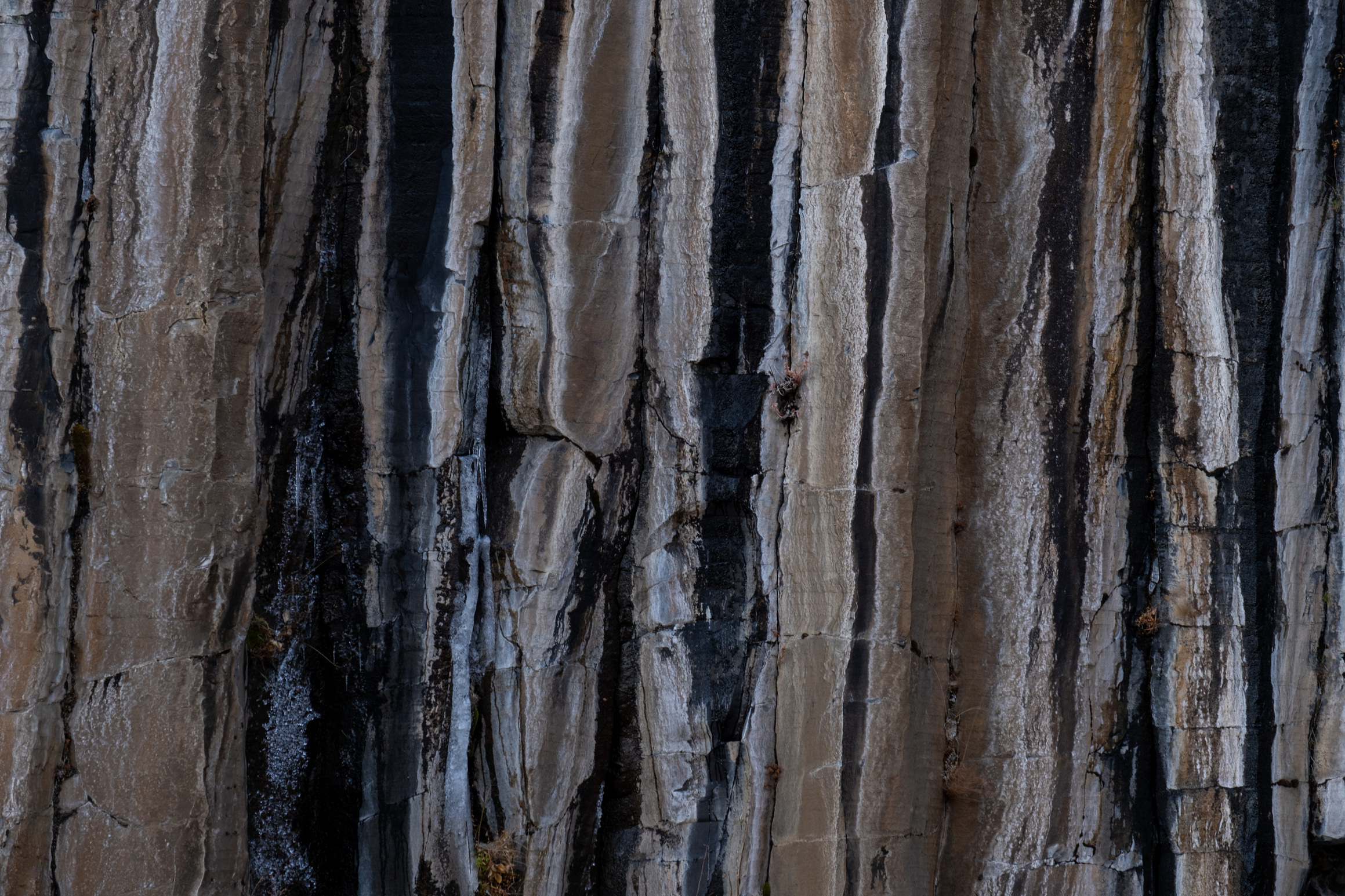Svartifoss