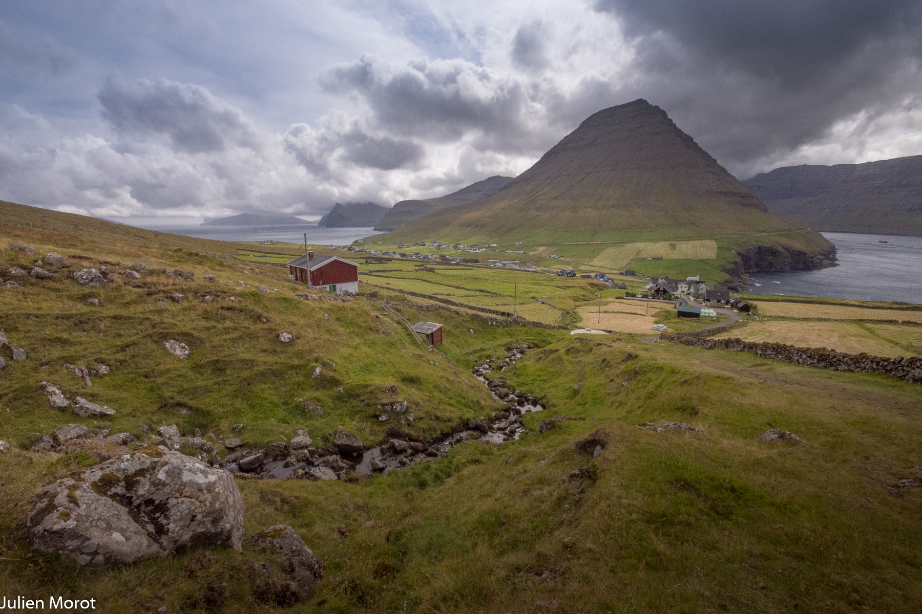 Viðareiði